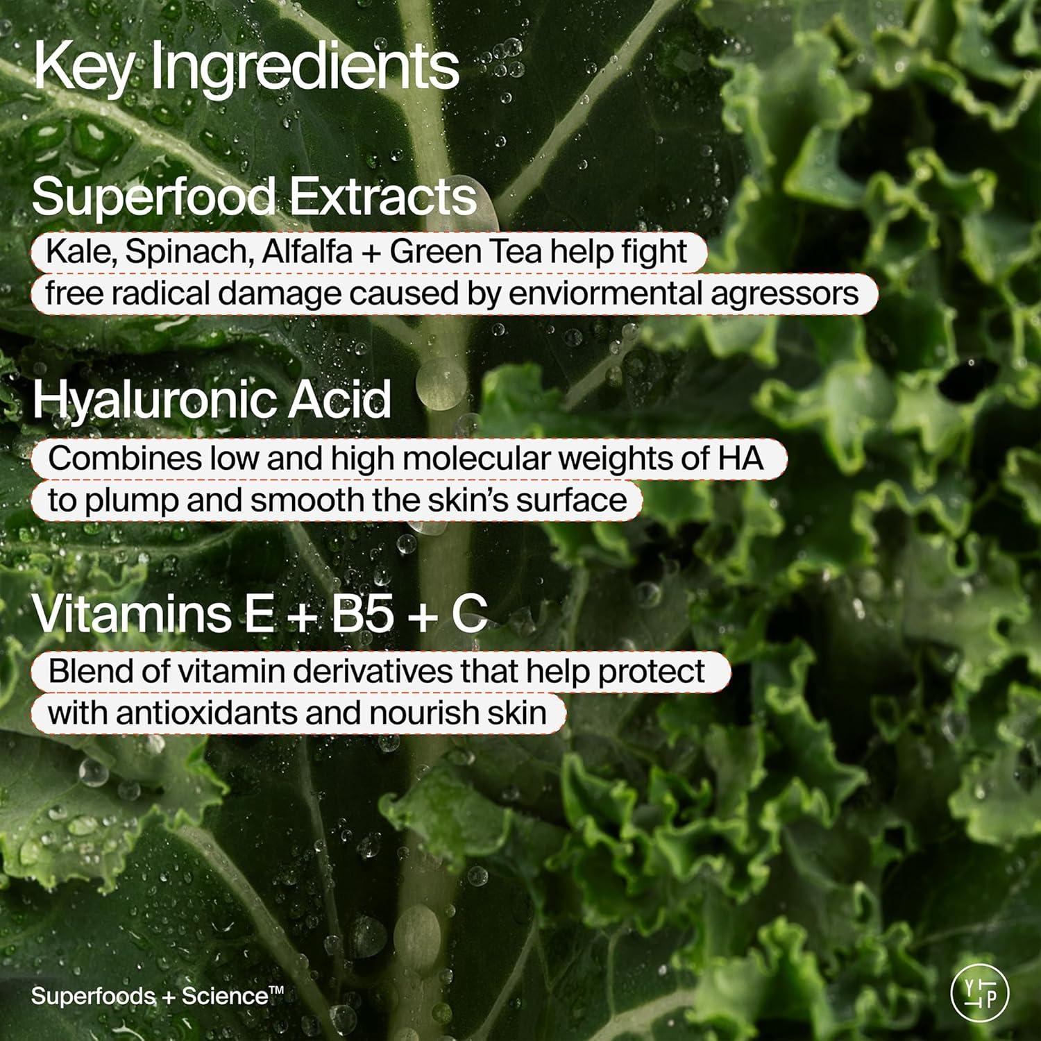 Crema Hidratante Youth To The People Air-Whip 57g - Kale + Té Verde