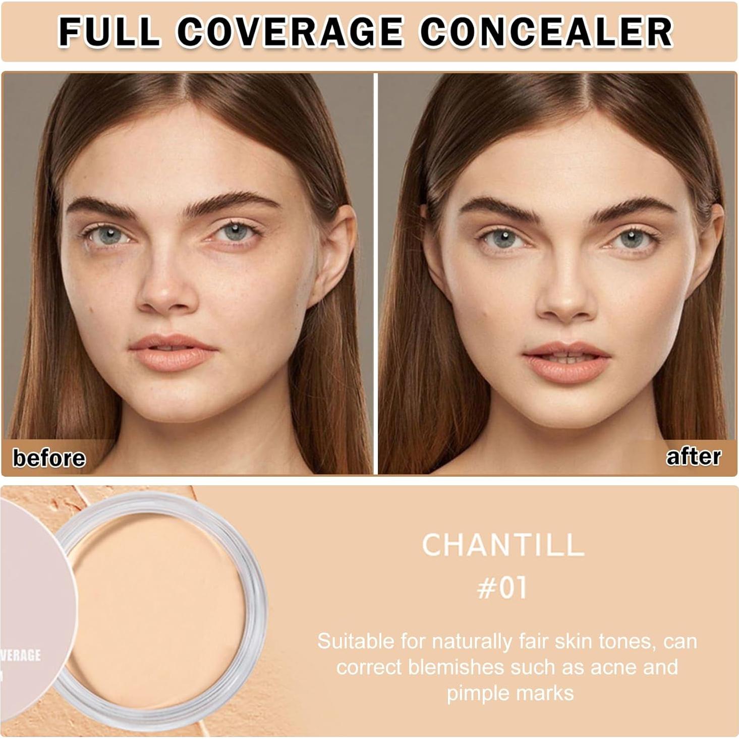 Corrector de Ojeras QIUFSSE 01 Chantill Cobertura Completa