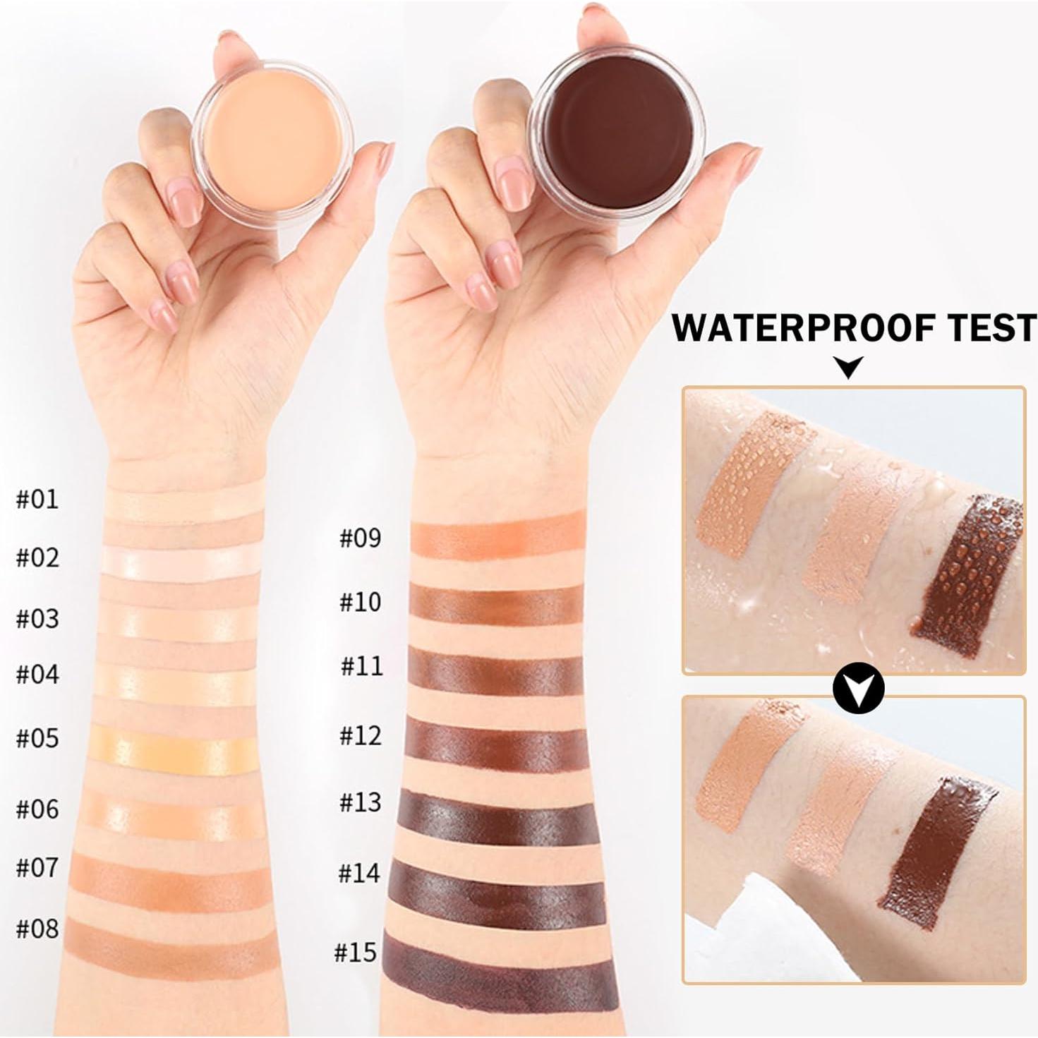 Corrector de Ojeras QIUFSSE 01 Chantill Cobertura Completa