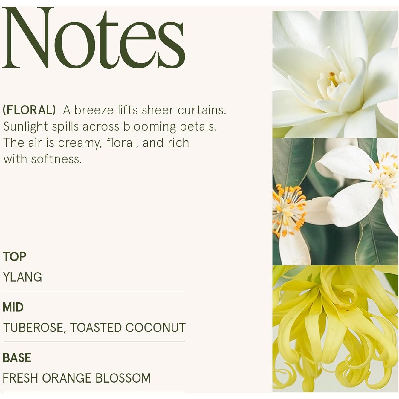 Vela Aromática LA JOLIE MUSE Gardenia y Ylang Ylang 540 g