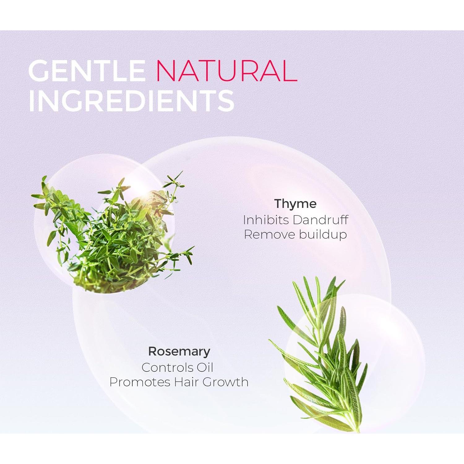 Champú en Polvo Anticaspa TYMO 99.2 g + Spray Aceite Argán 600 ml