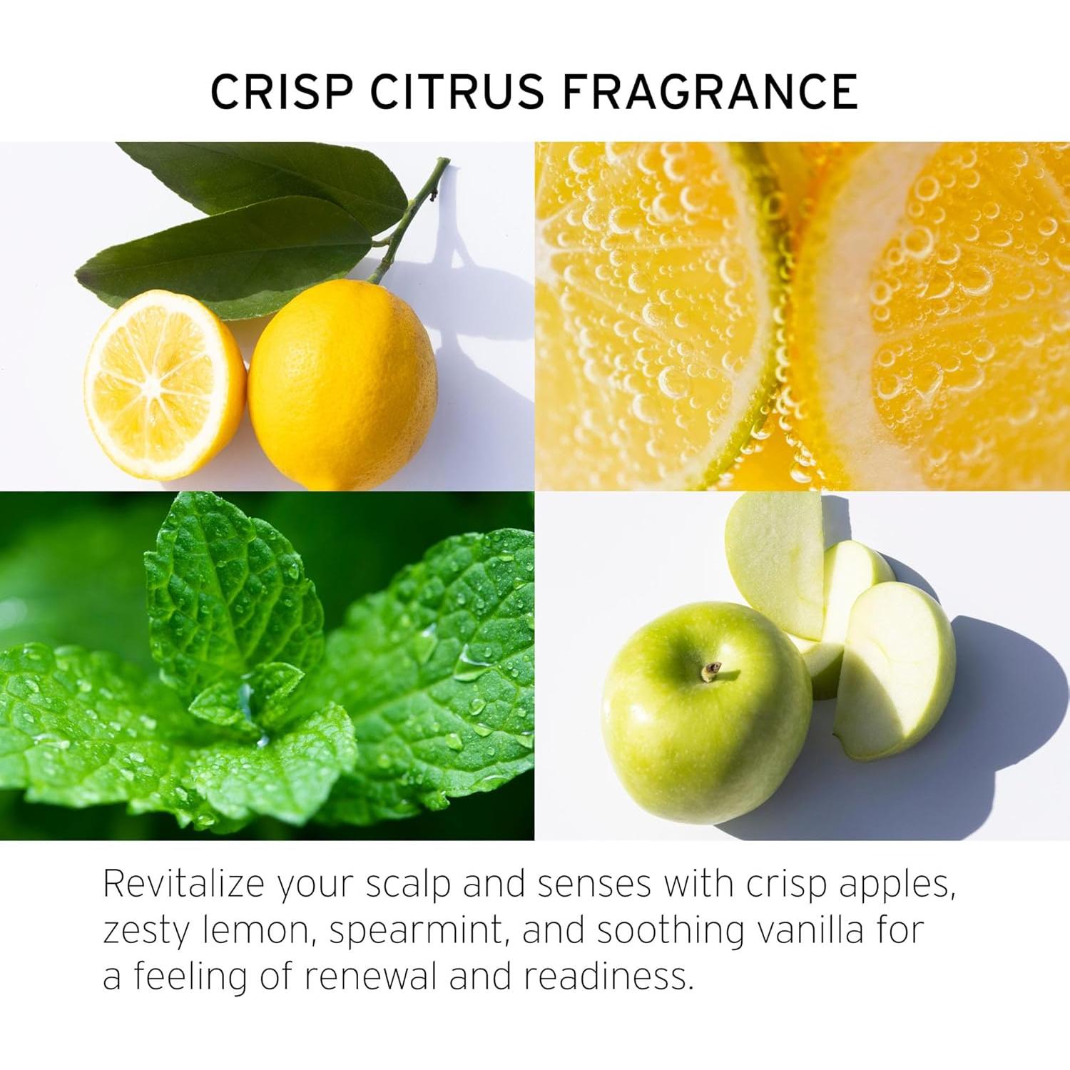 Champú Detox de Sidra de Manzana Fekkai 240 ml - Limpieza Profunda