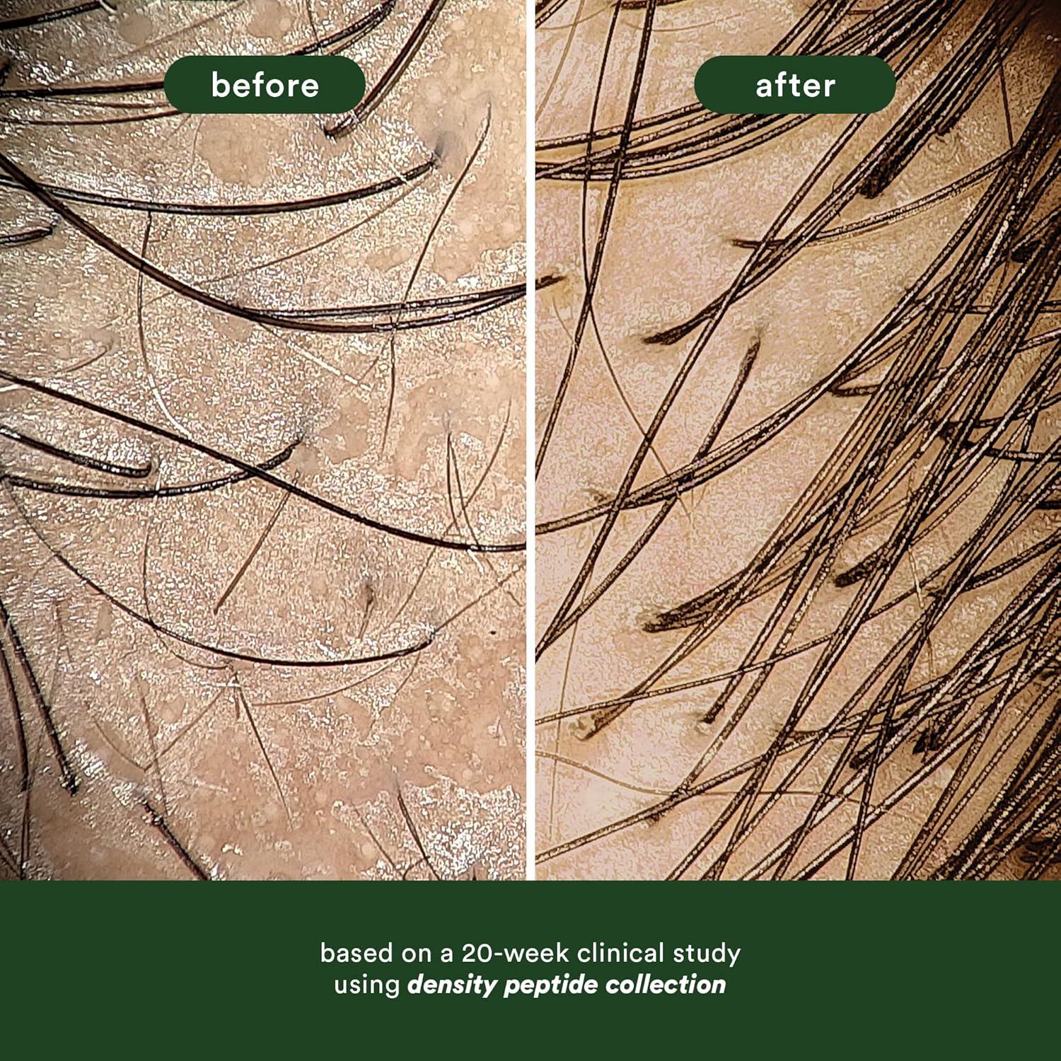 Champú de Péptidos de Densidad VERB 355 ml - Hidrata y Aumenta Volumen