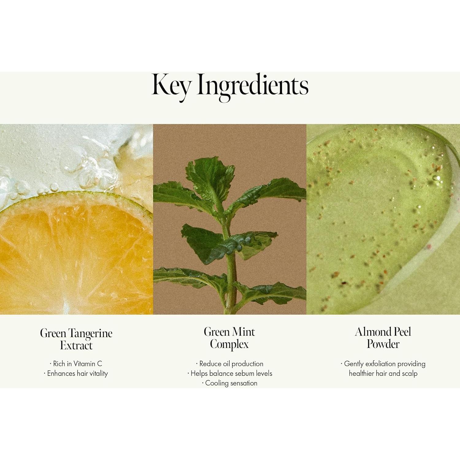 Champú Refrescante Lima Domingo 450 ml - Exfoliante y Limpieza Profunda