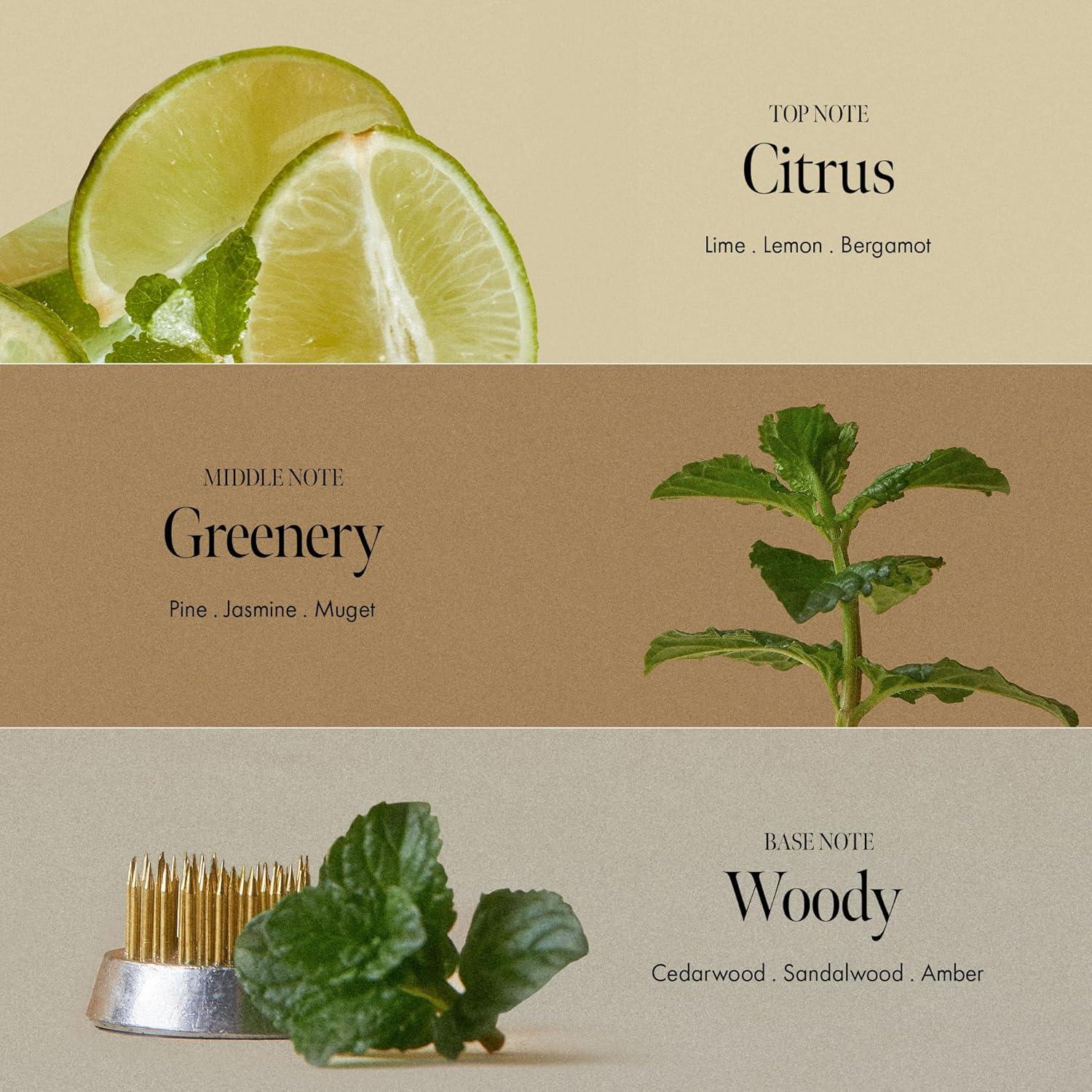 Champú Refrescante Lima Domingo 450 ml - Exfoliante y Limpieza Profunda