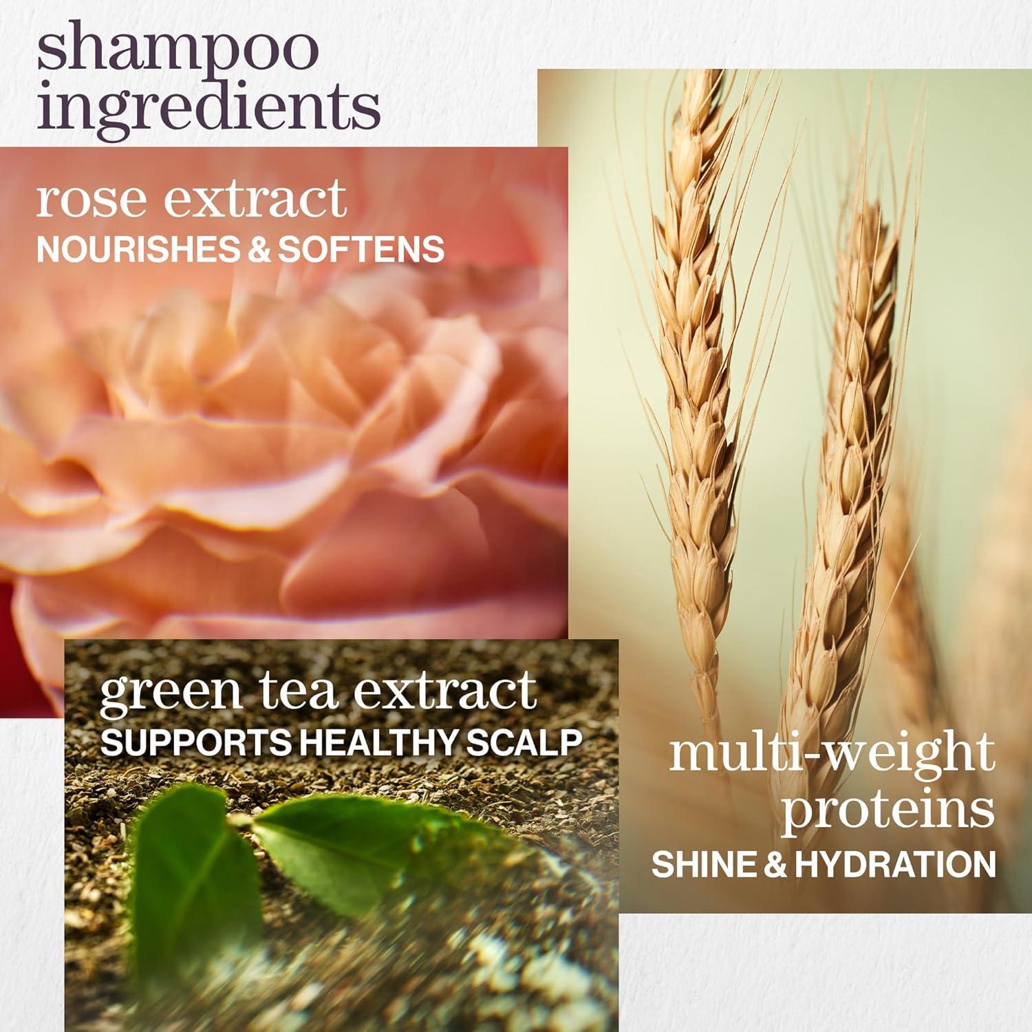 Conjunto Champú y Acondicionador Pureology 266 ml x 2 - Hidratante