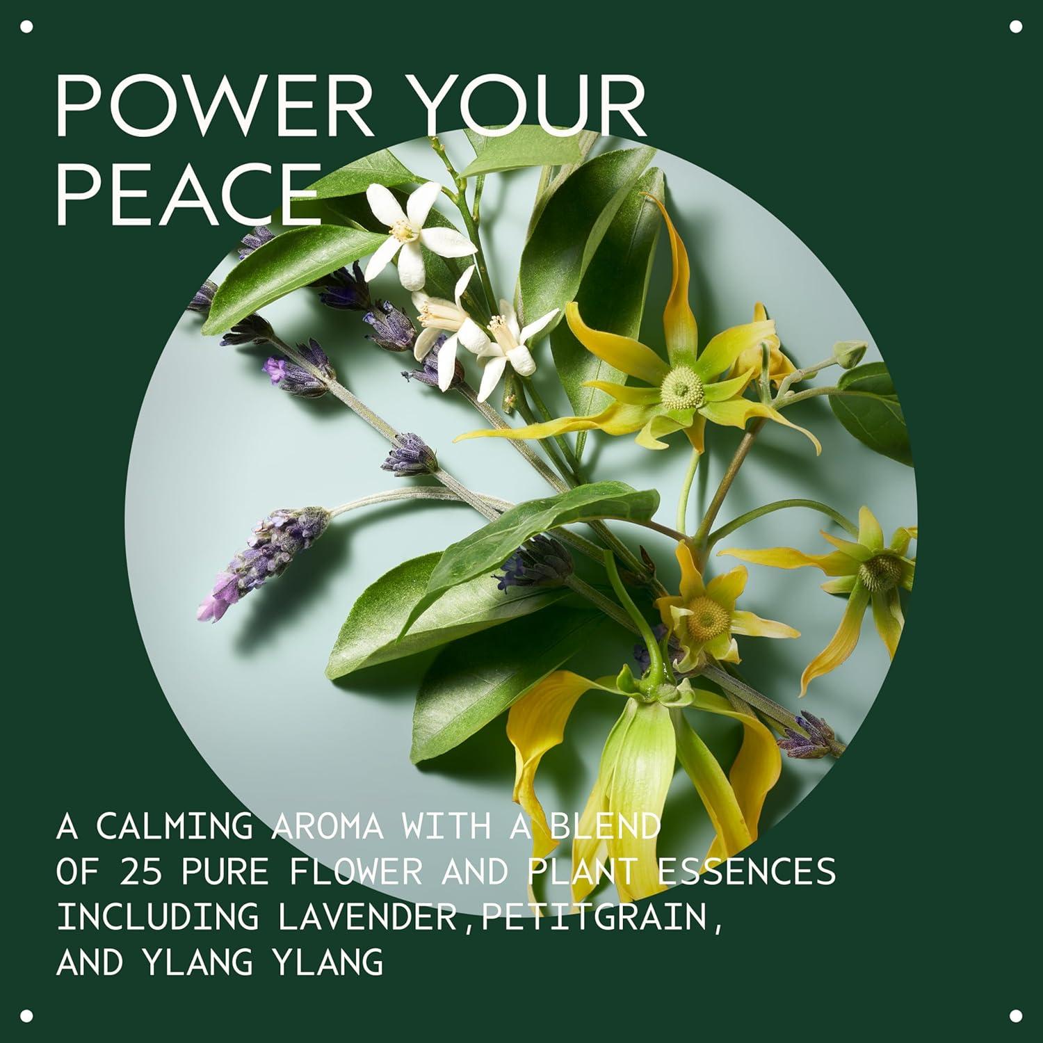 Champú Seco Aveda Shampowder 56.7g | Volumen y Textura