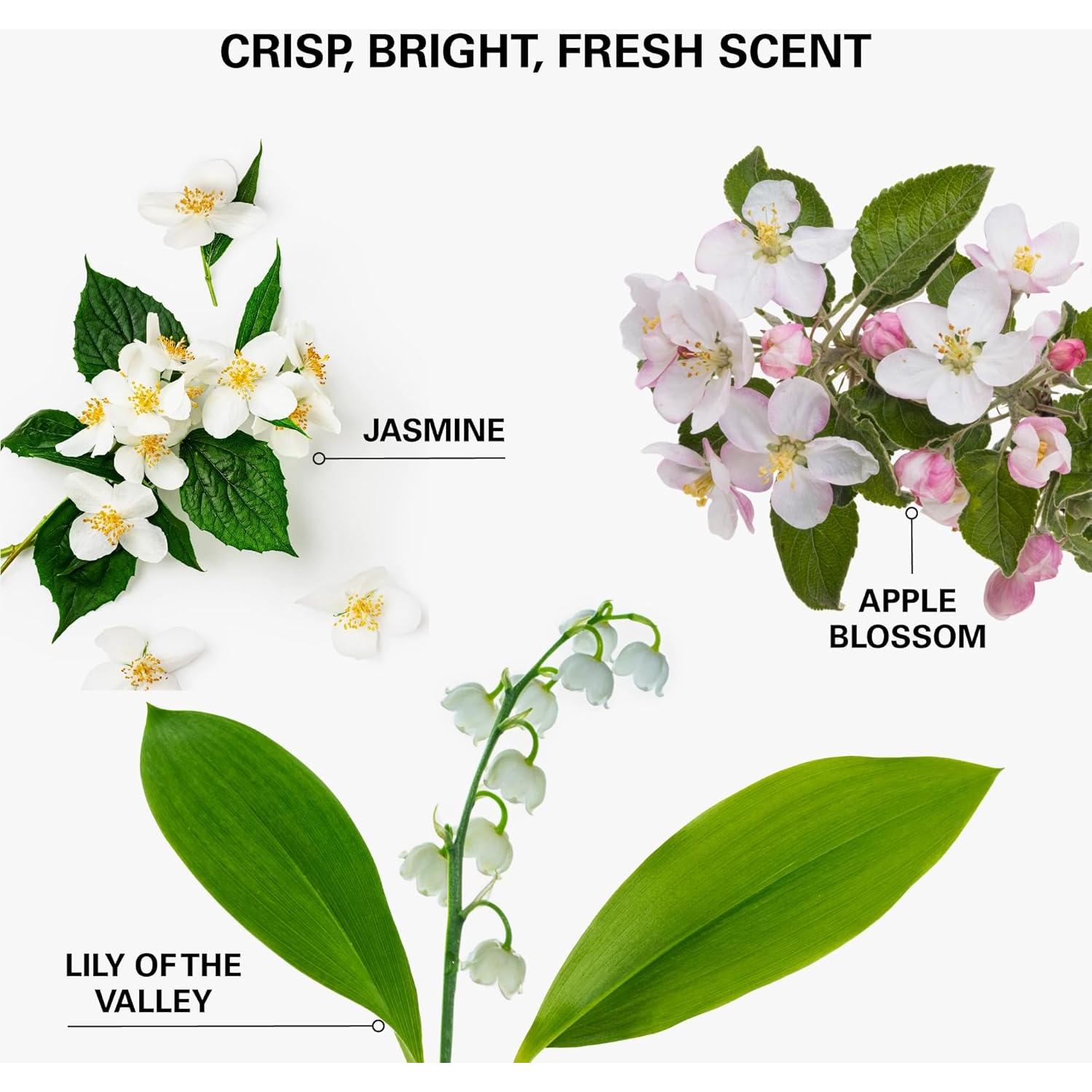 Champú Seco Avanzado COLOR WOW - Elimina Aceite y Frizz 180g