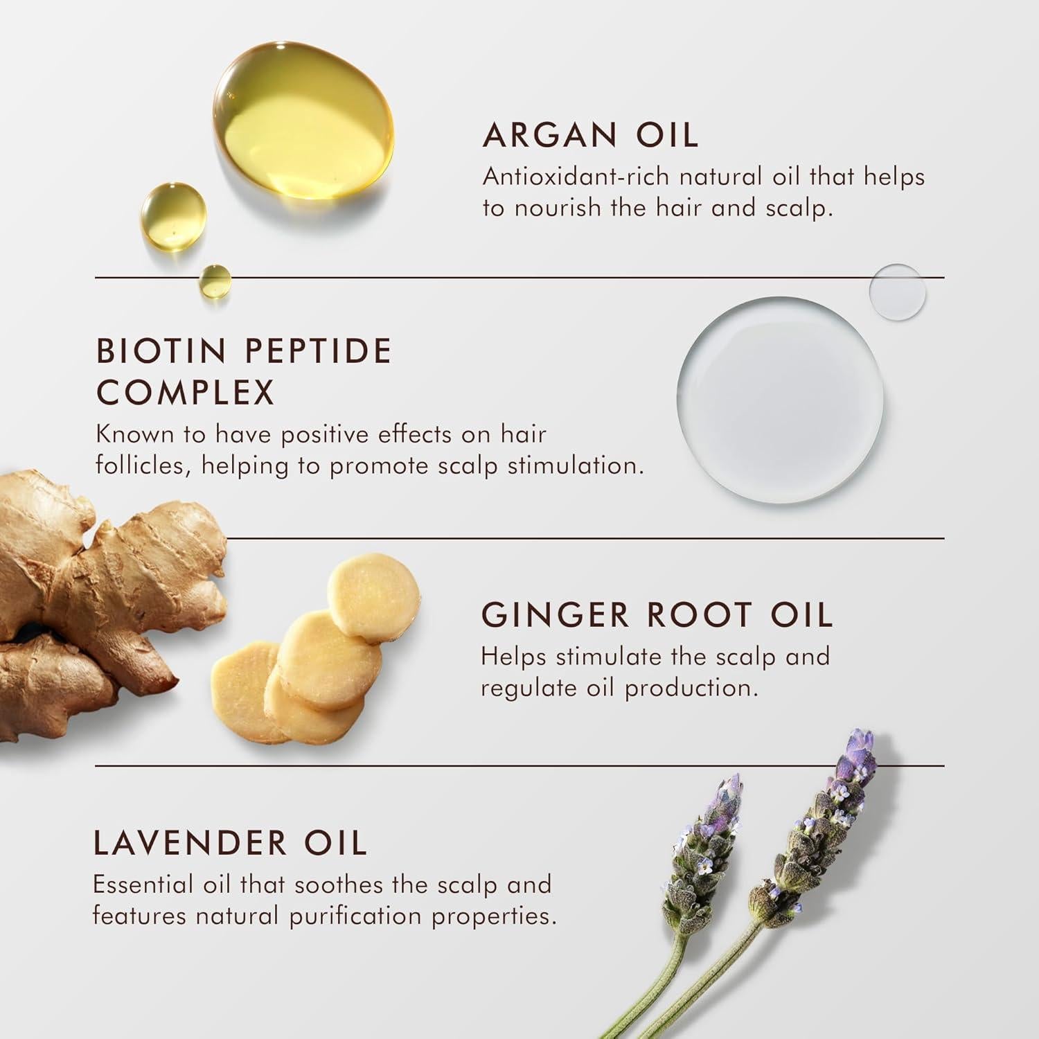 Tratamiento para Cuero Cabelludo Graso Moroccanoil 44 ml