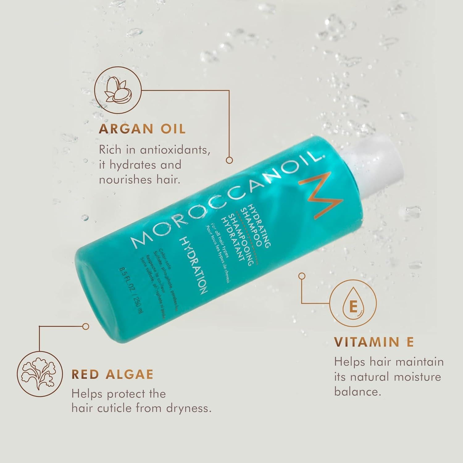 Champú Hidratante Moroccanoil 250 ml - Aceite de Argán