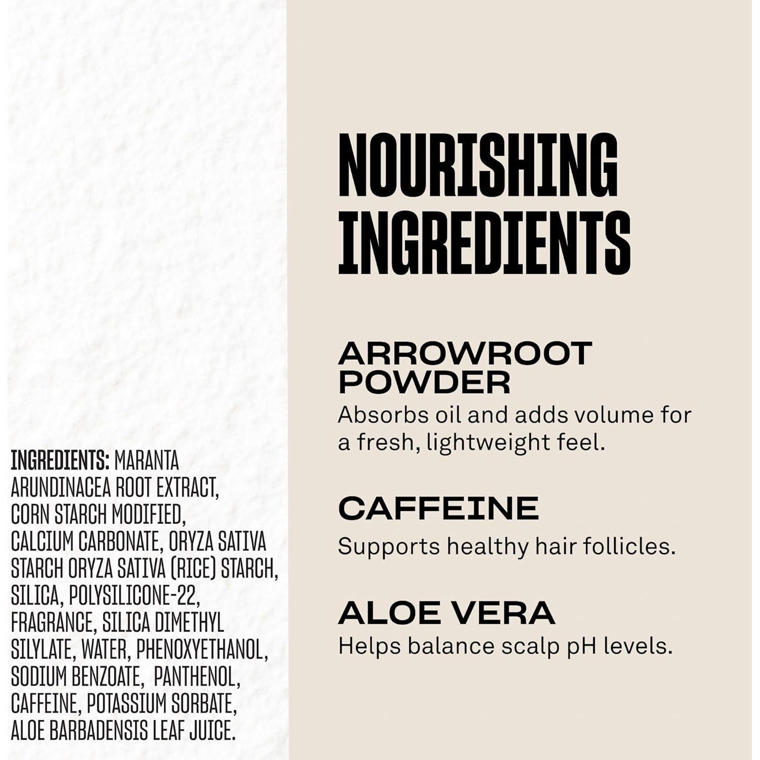 Champú Seco en Polvo BABE ORIGINAL Root Refresh 100g