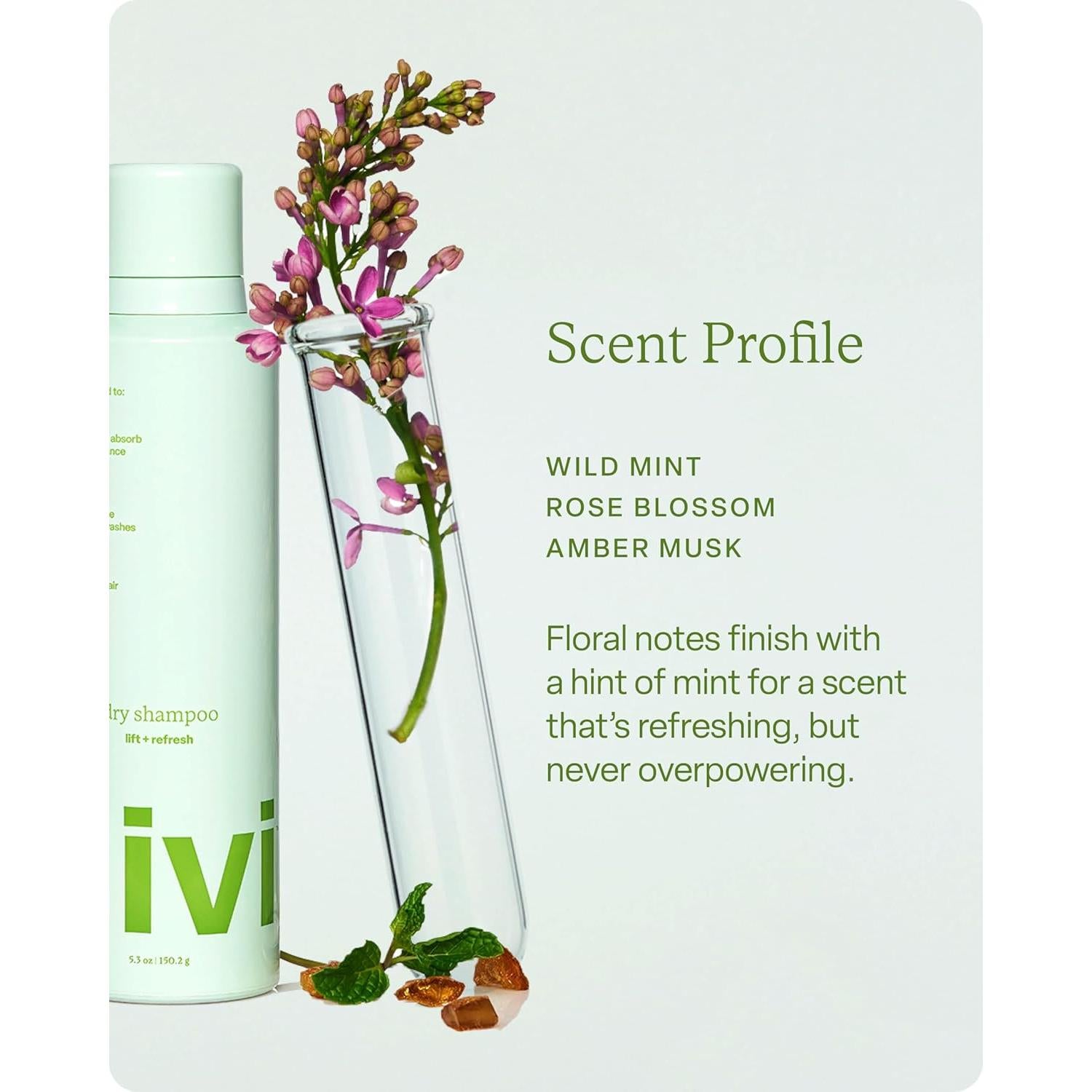 Champú Seco Divi 150g - Absorbe Aceite y Equilibra Cuero Cabelludo