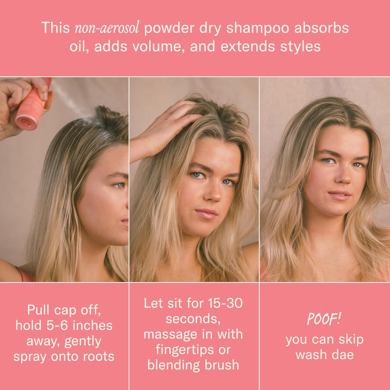 Champú Seco Fairy Duster 150g + Brocha Kabuki 3-en-1