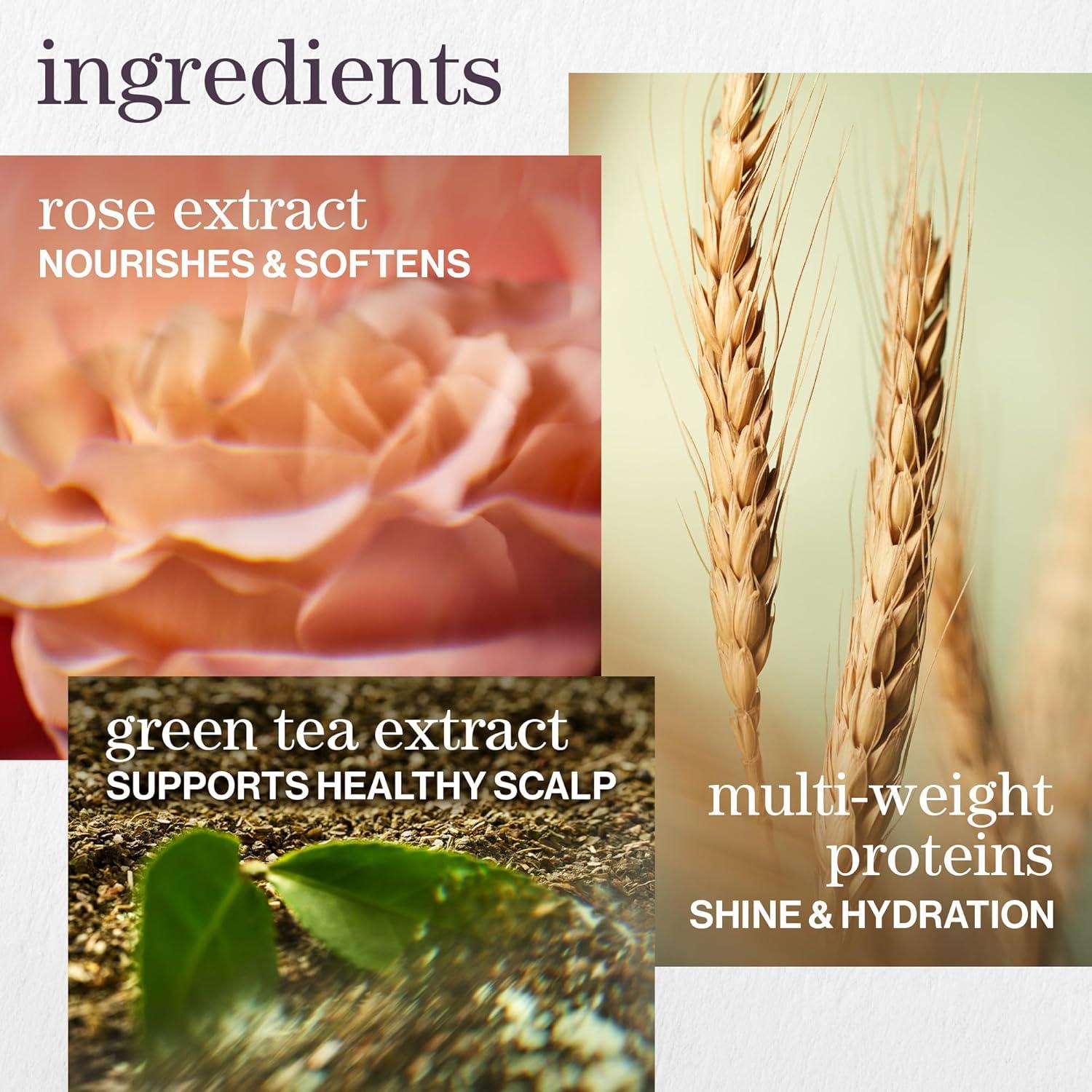 Champú Pureology Hydrate 266 ml - Hidratación Intensa Cabello Seco