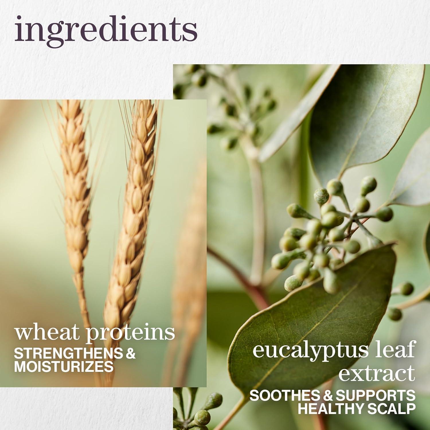 Champú Hidratante Pureology Hydrate Sheer 266 ml - Cabello Fino