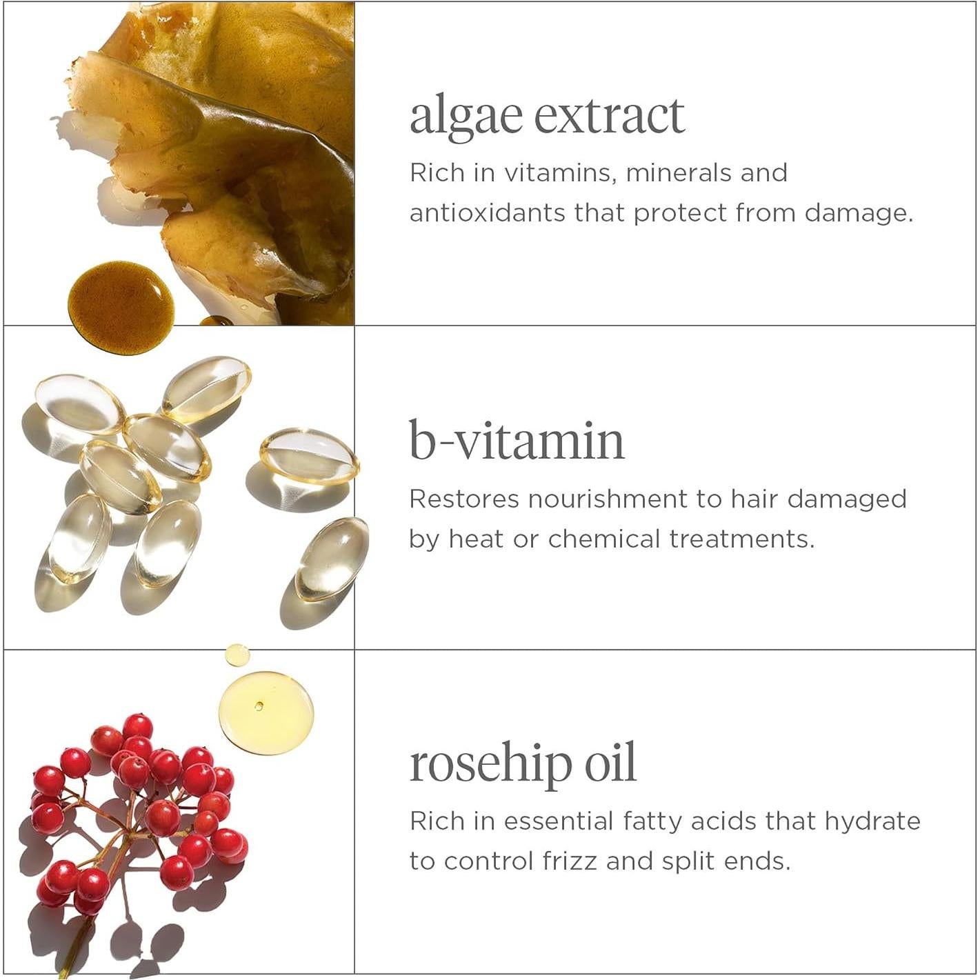 Champú Hidratante Briogeo No Desesperes 1000 ml Cabello Seco