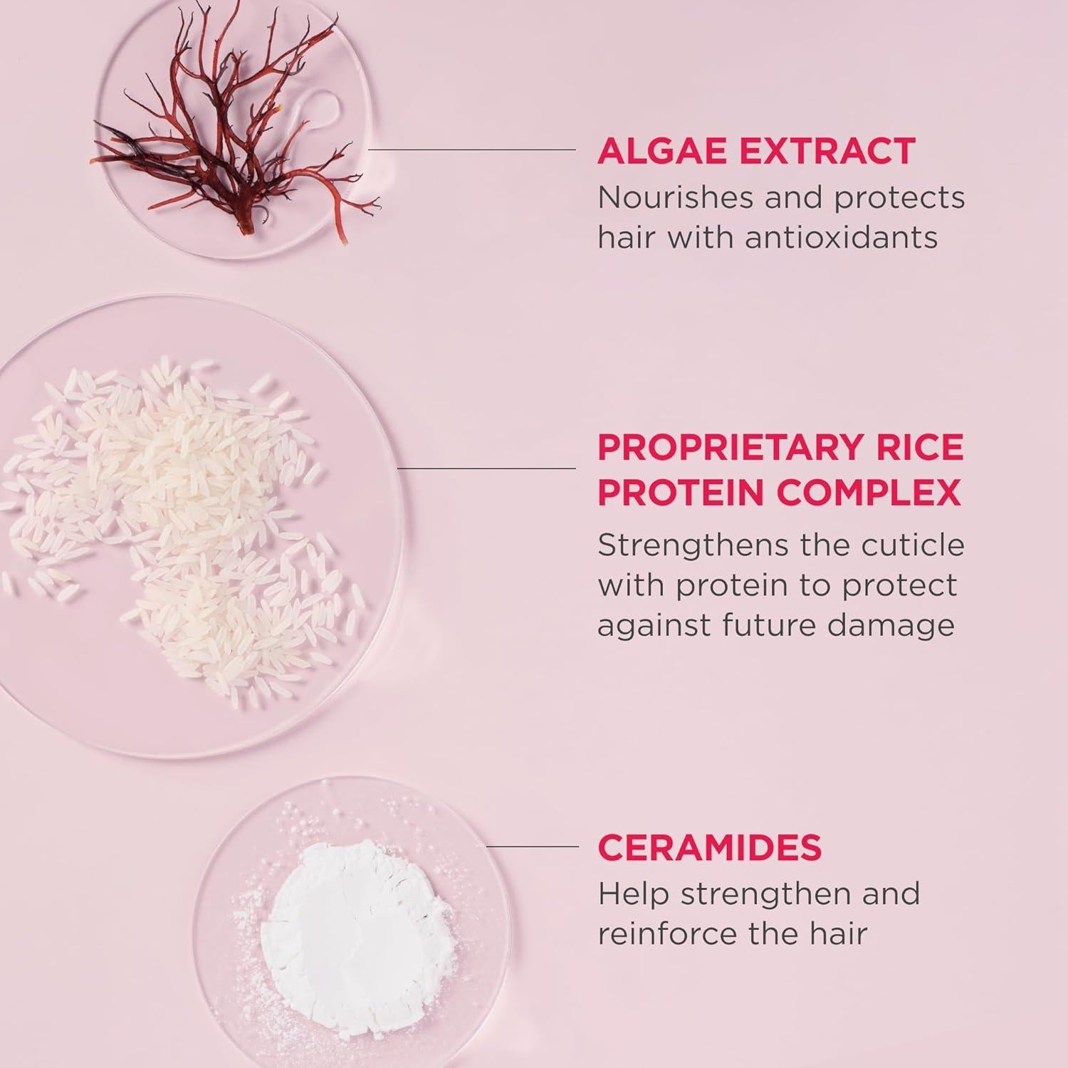 Champú Concentrado Briogeo No Desesperes, Repara! 88.7 ml - Vegano