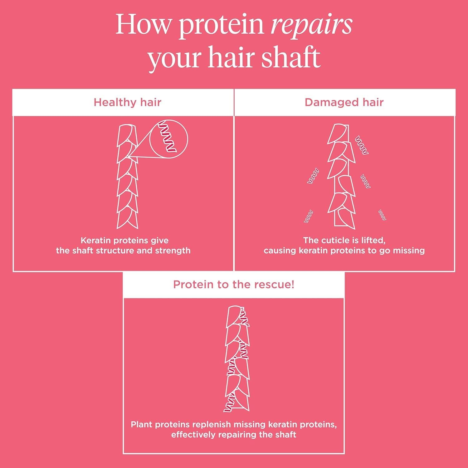 Champú Concentrado Briogeo No Desesperes, Repara! 88.7 ml - Vegano