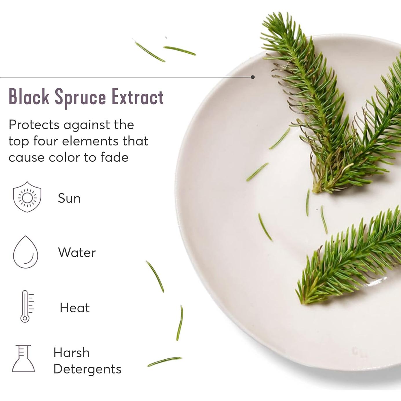 Champú Voluminizador Madison Reed ColorSolve 235 ml - Libre de Sulfatos