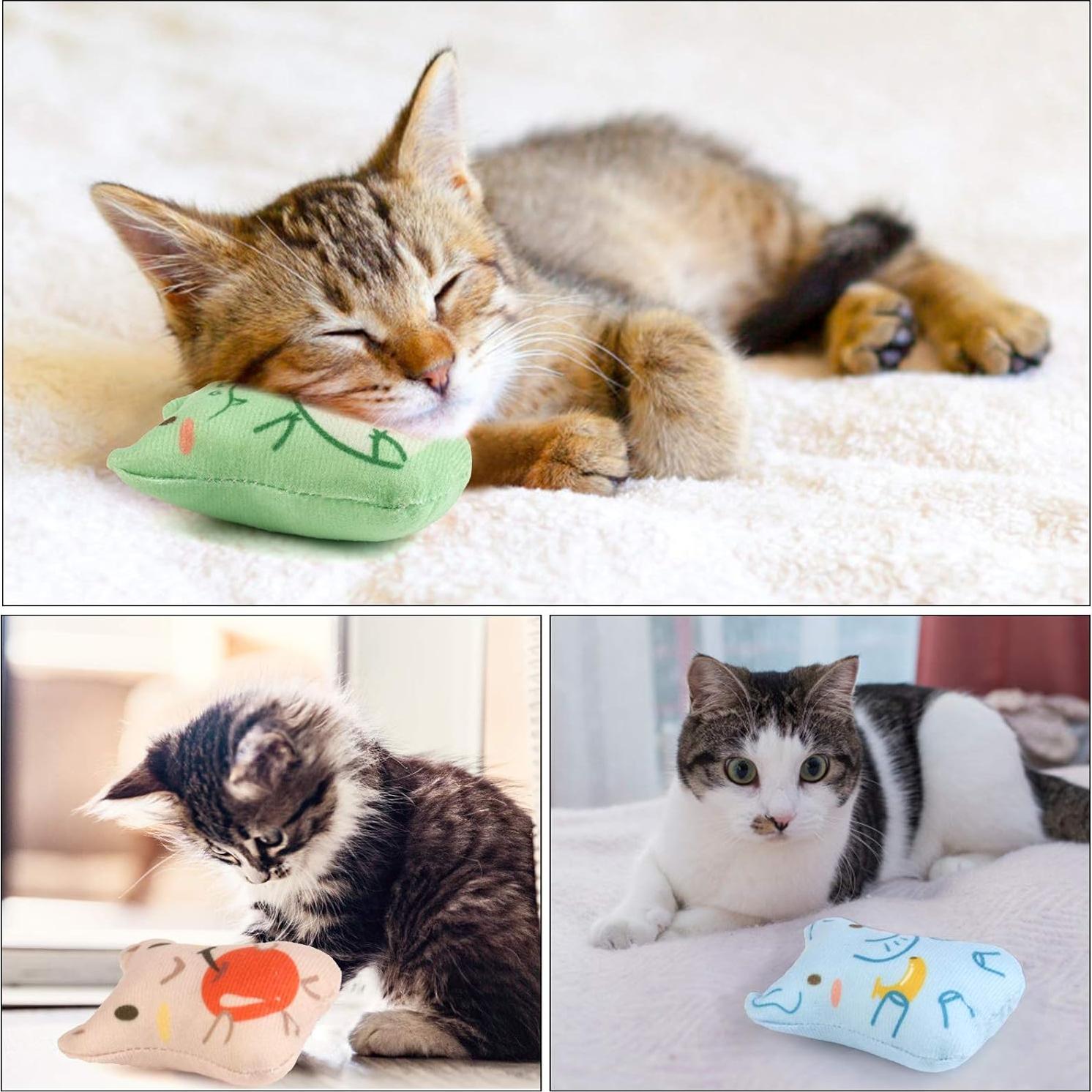 Juguetes de Catnip Dorakitten para Gatos - 5PCS Interactivos
