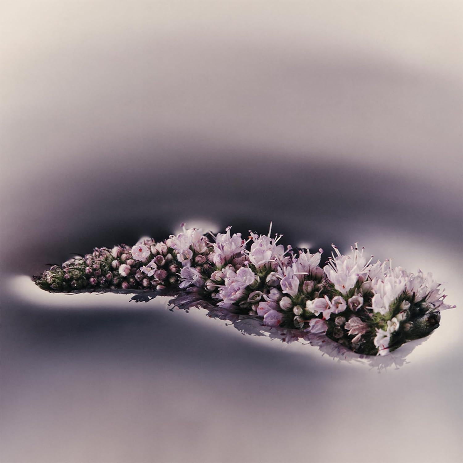 Limpiador Corporal Nutritivo Aesop Eleos 180ml