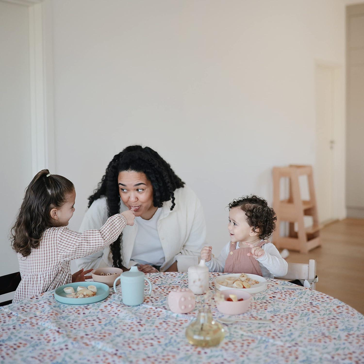 Plato de Succión de Silicona mushie Rosa 18.41 cm Antideslizante