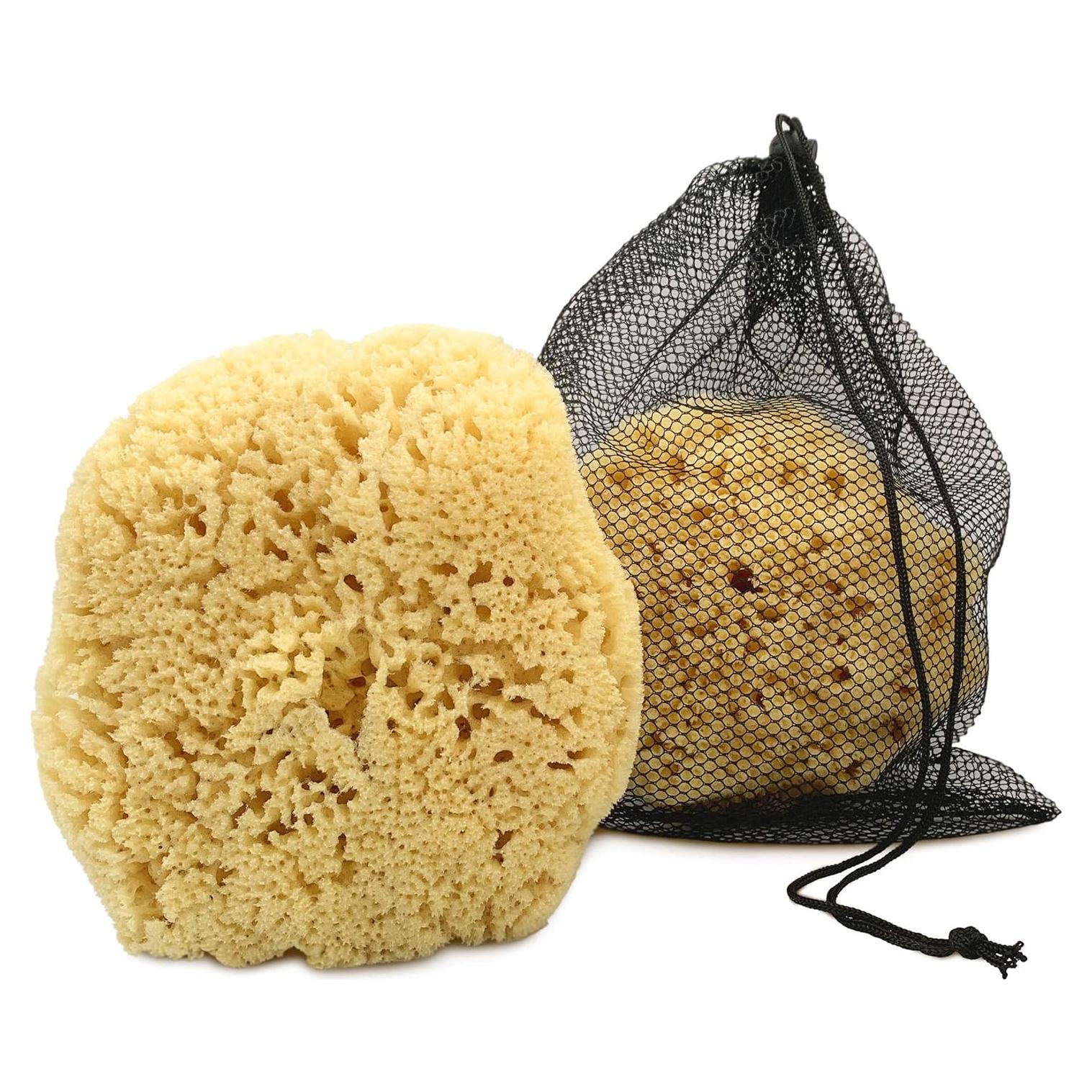 Esponja de Mar Natural Extra Grande 15-18 cm Constantia Man