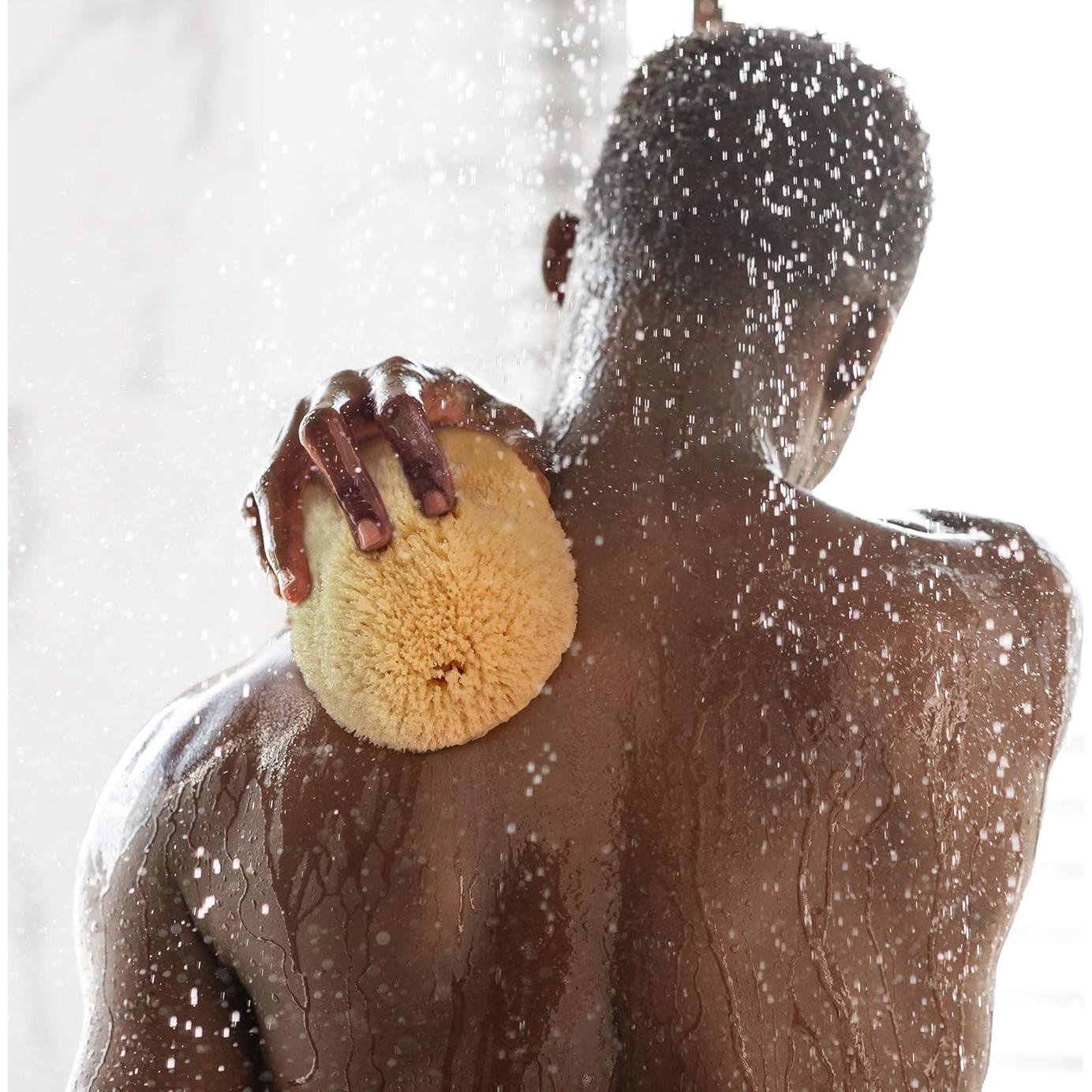 Esponja de Mar Natural Extra Grande 15-18 cm Constantia Man