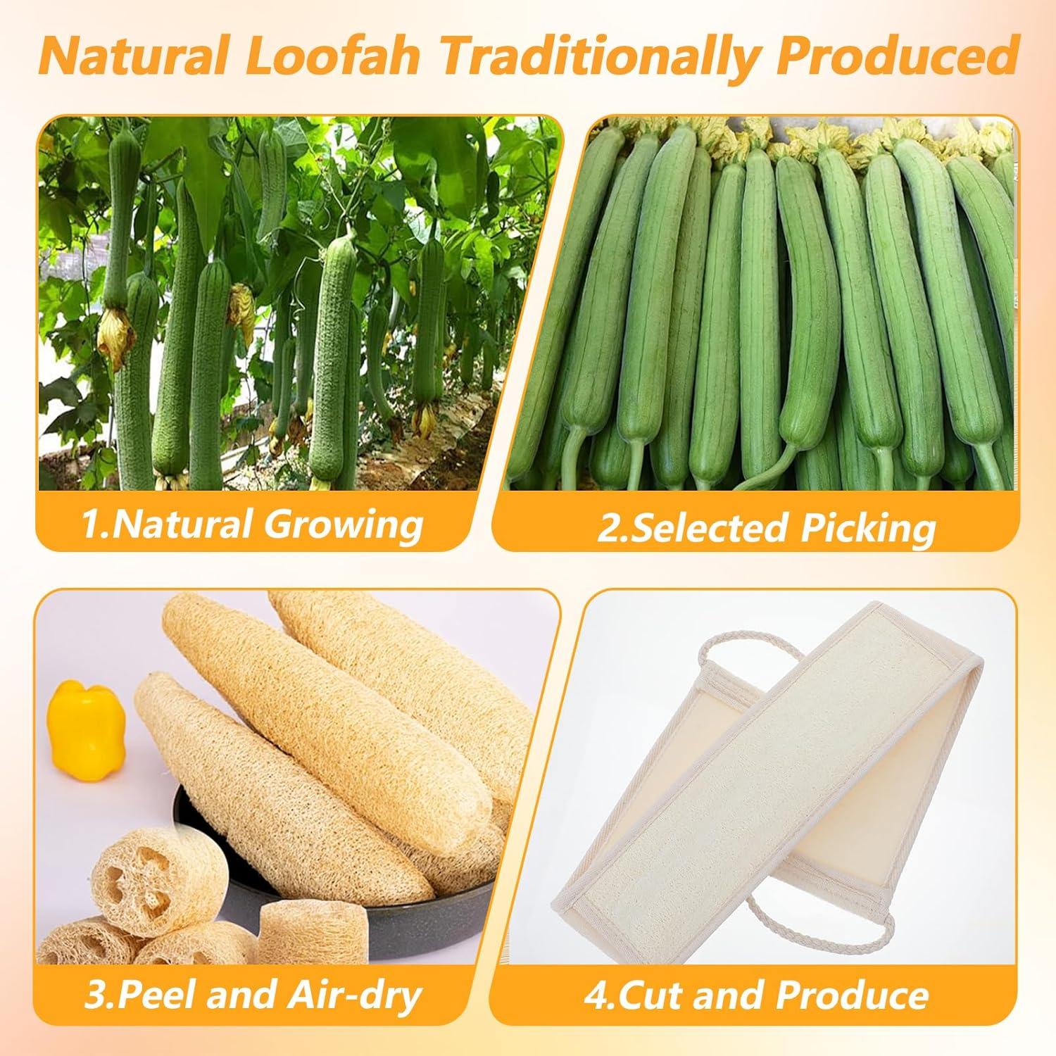 Set 2 Esponjas de Lufa Natural Gjinxi para Ducha Exfoliante