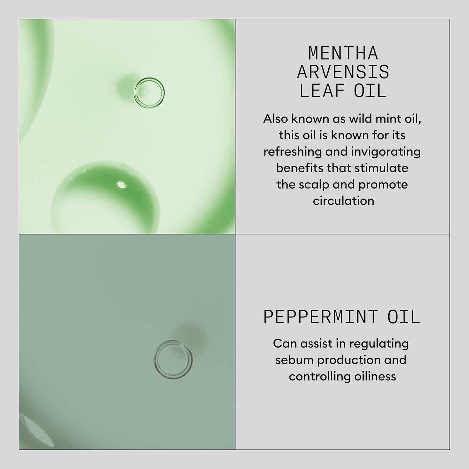 Champú Seco Voluminizador Nioxin Density Defend 124 ml