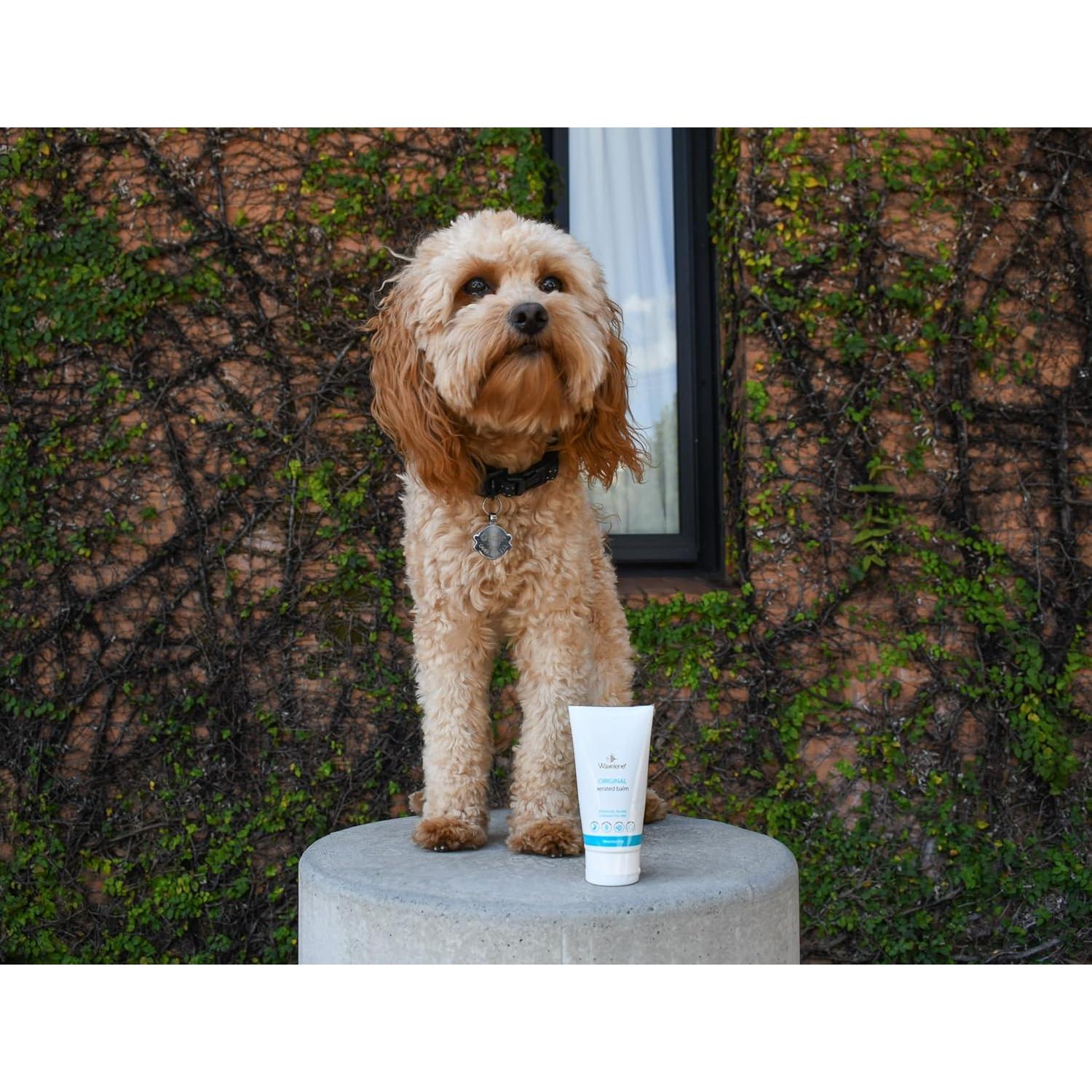 Ungüento Multipropósito Waxelene 57g - Balsamo Orgánico Hidratante