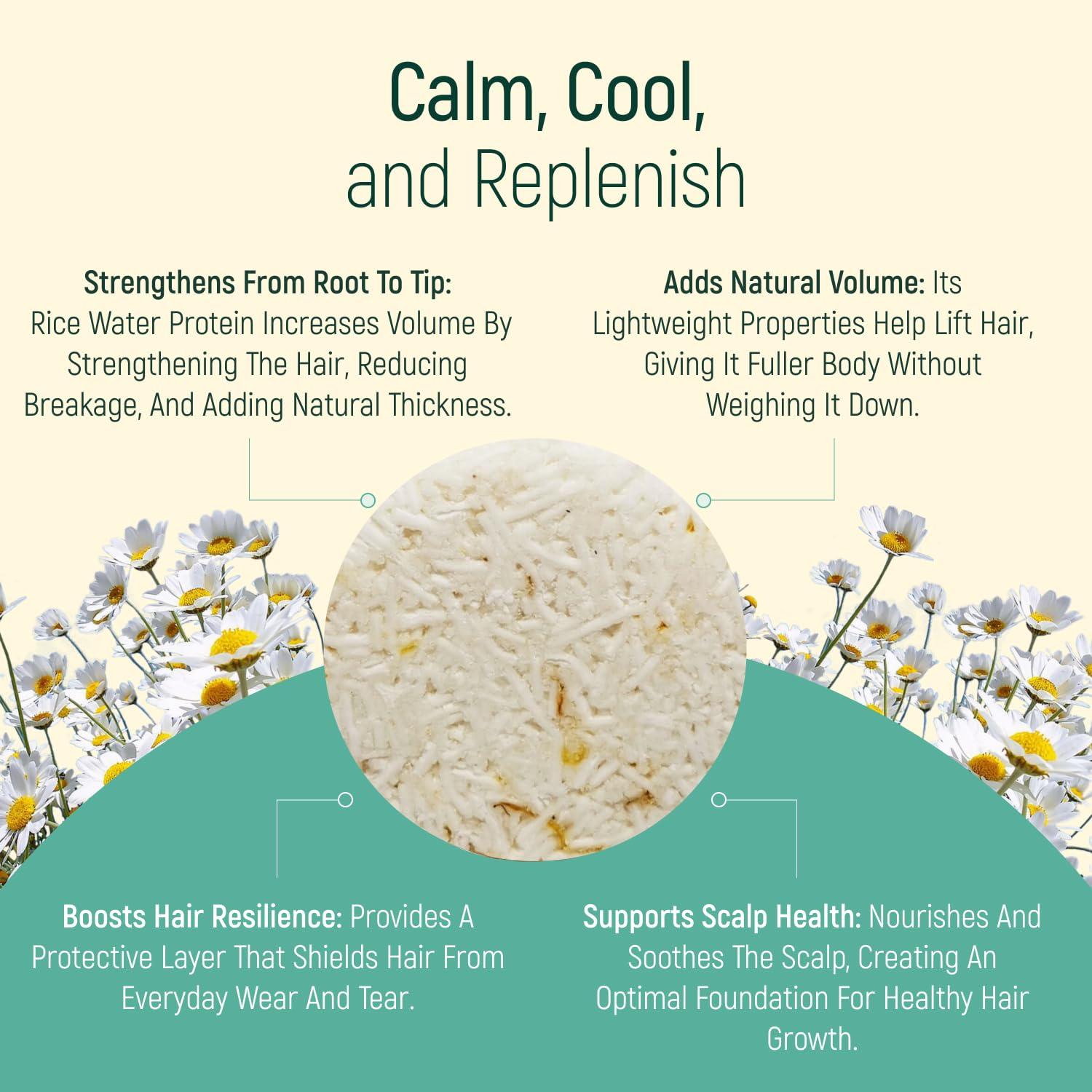 Champú Sólido Orgánico BAMBOEARTH Manzanilla 68g Ecológico