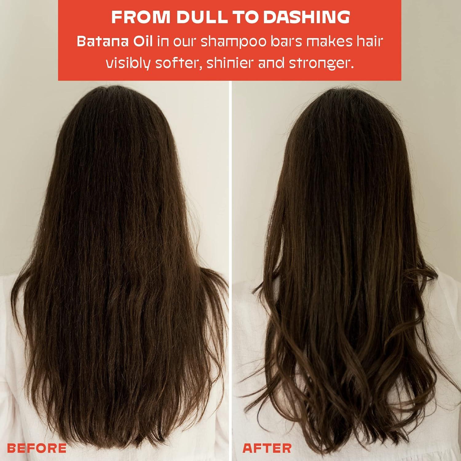 Champú y Acondicionador en Barra NOLE CARE Manzanilla 145 g