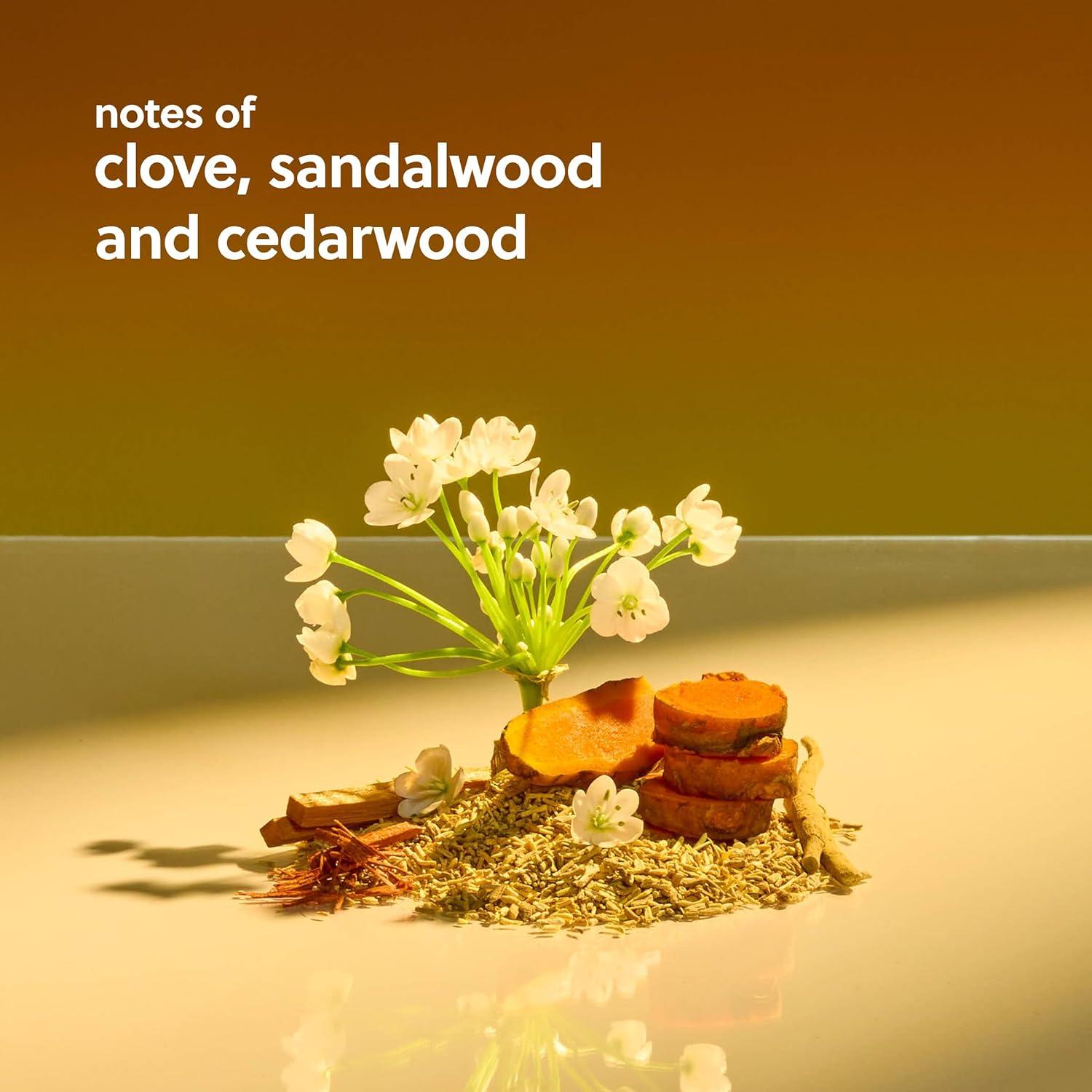 Suero Corporal Tree Hut Hydraglow Santal Haze 311 g