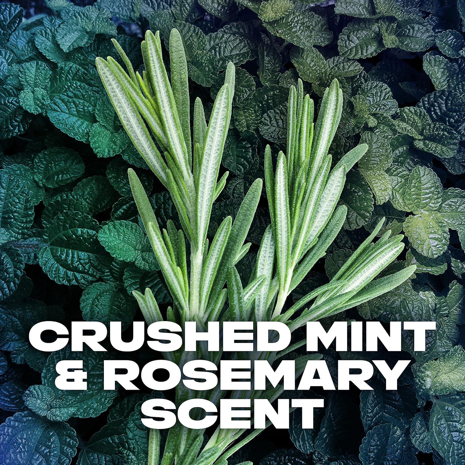 Desodorante Antitranspirante AXE Phoenix 76.5 g 4PK Menta Romero