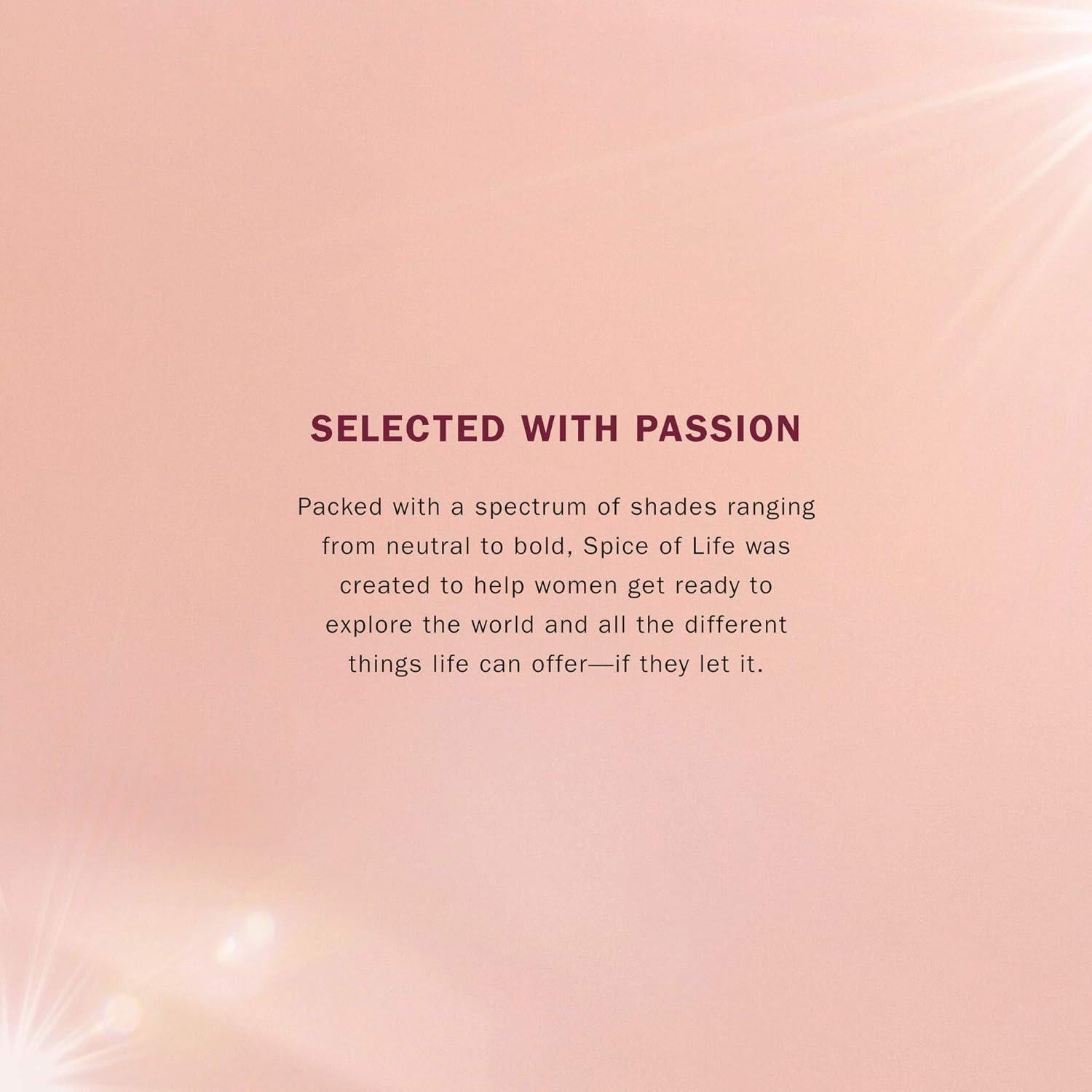 Paleta de Sombras ZOEVA Especias de Vida - 10 Tonos