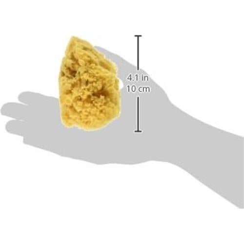 Esponjas Naturales para Pintura Royal Brush - 4 Piezas