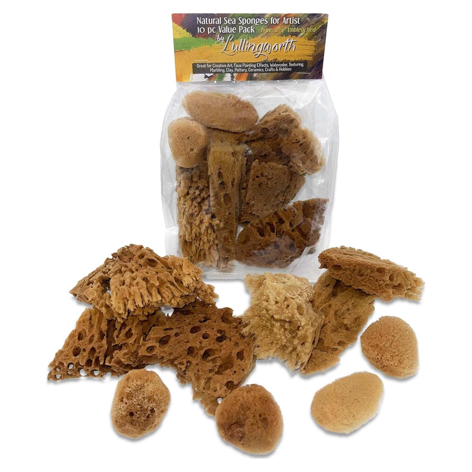 Esponjas Naturales de Mar Lullingworth 10 Piezas 5-10 cm