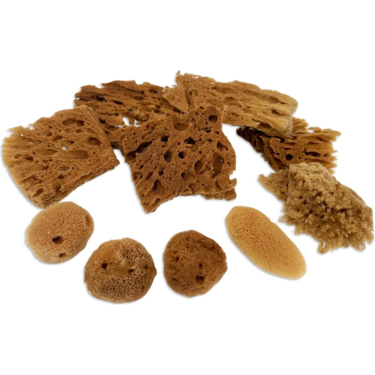 Esponjas Naturales de Mar Lullingworth 10 Piezas 5-10 cm
