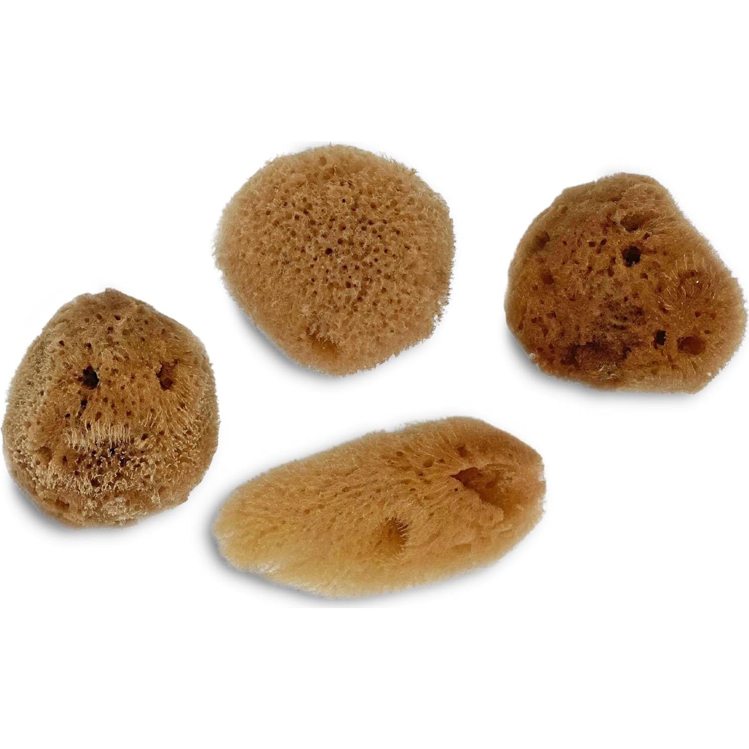 Esponjas Naturales de Mar Lullingworth 10 Piezas 5-10 cm