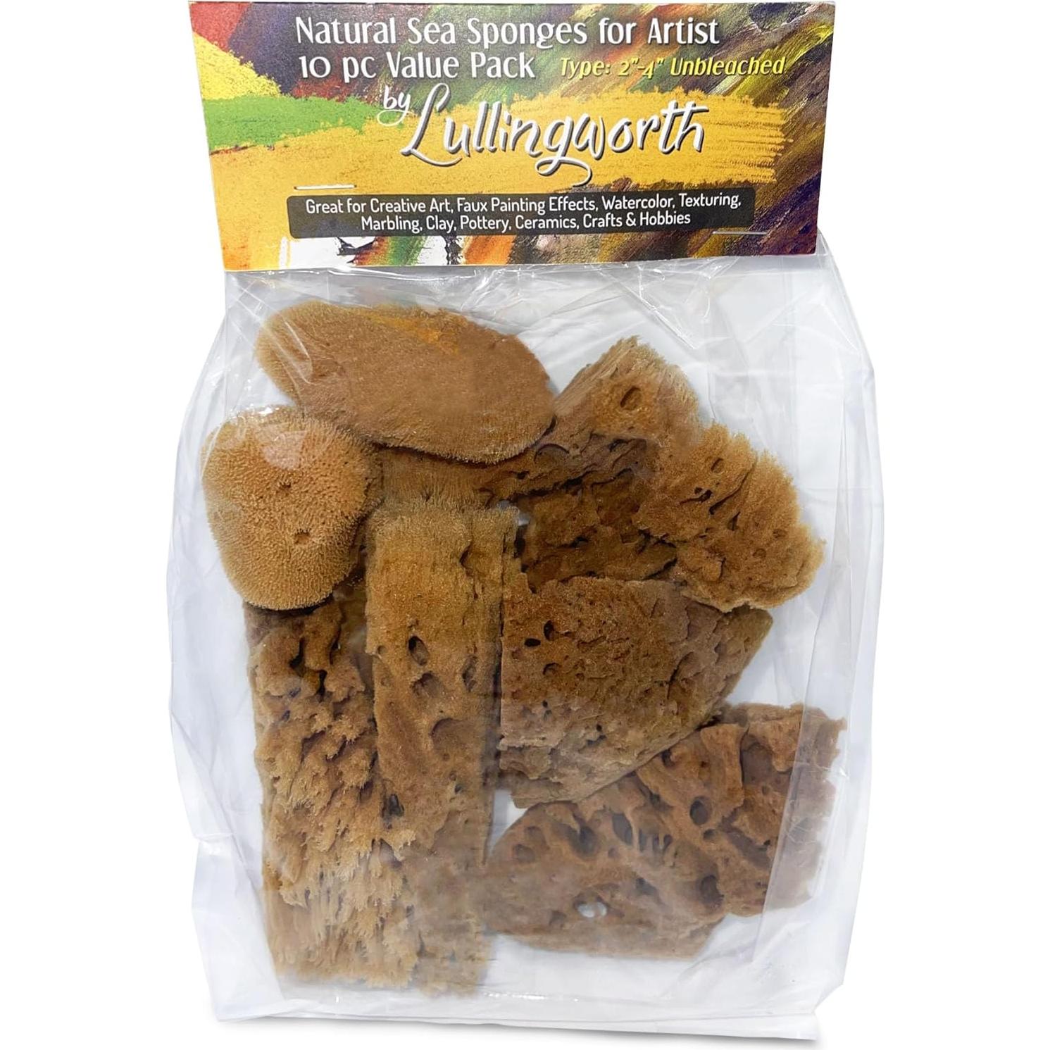 Esponjas Naturales de Mar Lullingworth 10 Piezas 5-10 cm