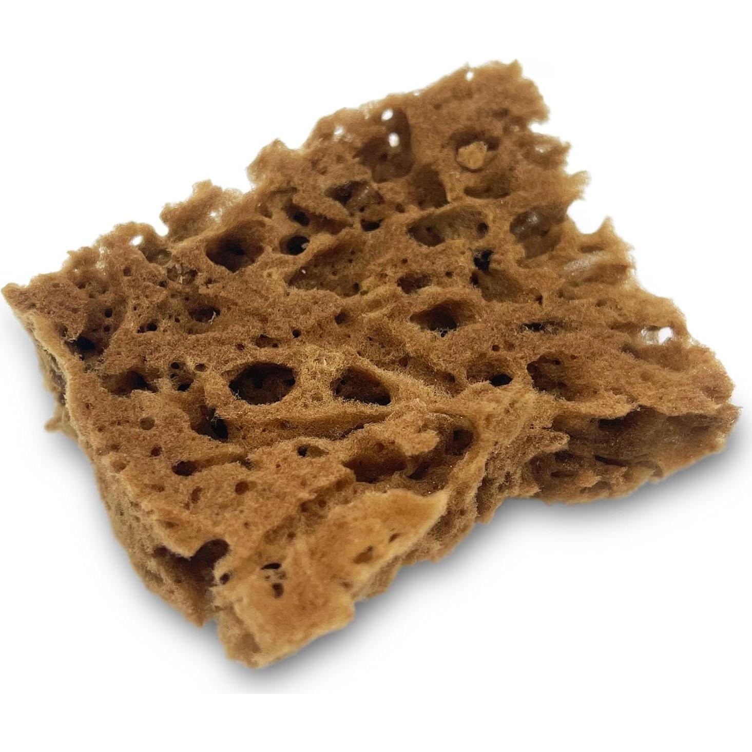 Esponjas Naturales de Mar Lullingworth 10 Piezas 5-10 cm