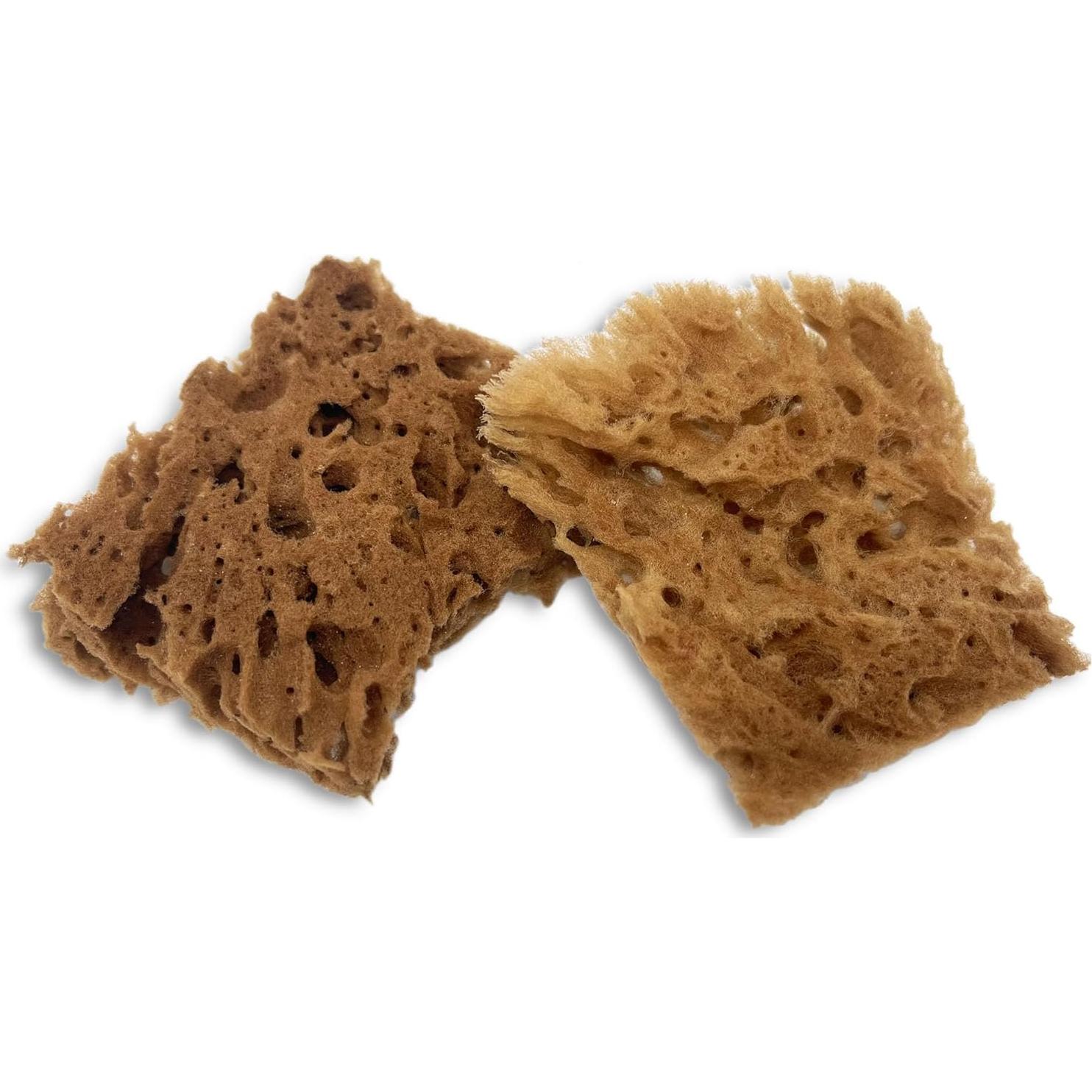 Esponjas Naturales de Mar Lullingworth 10 Piezas 5-10 cm