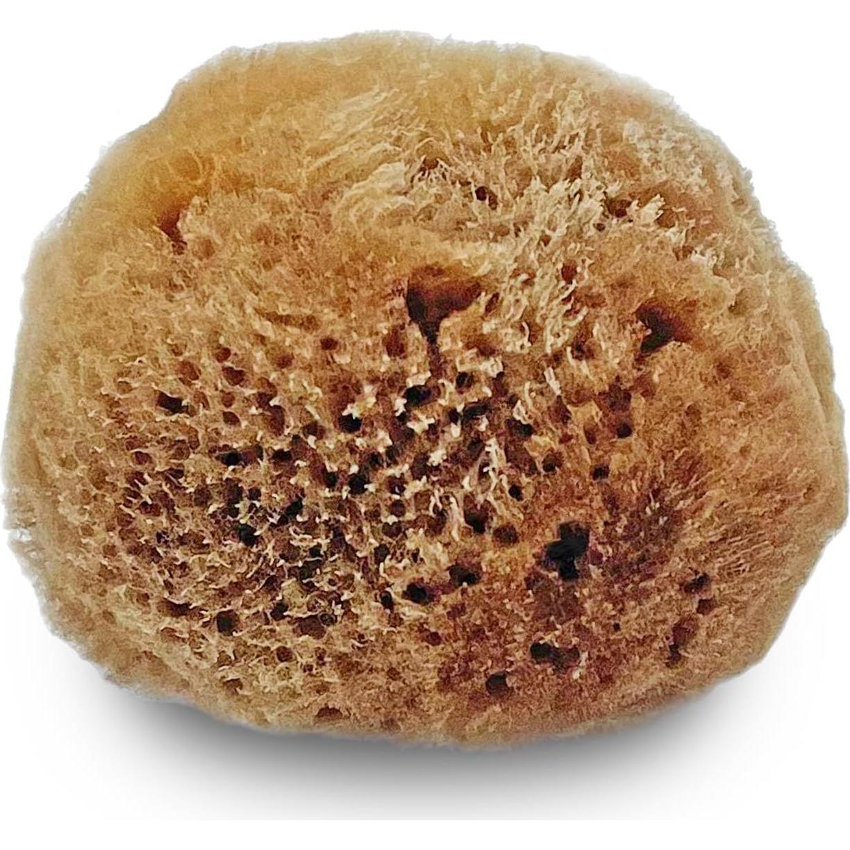 Esponjas Naturales de Mar Lullingworth 10 Piezas 5-10 cm