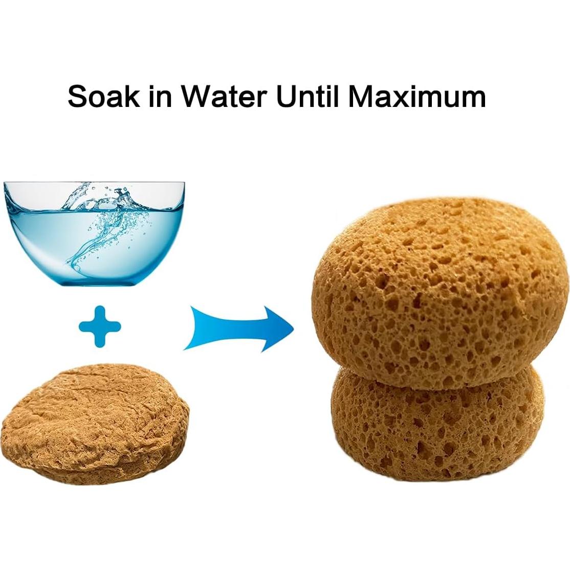 Esponja de Textura Knockdown Binstree 13.97x11.68 cm Duradera