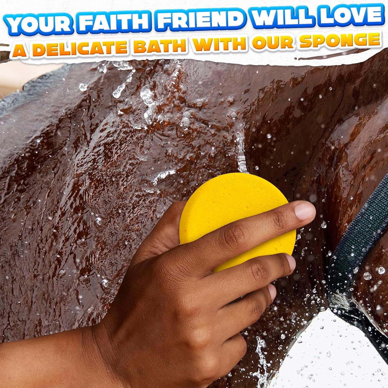 12 Esponjas de Cerámica LIBERHAUS 7.1 cm para Pintura y Limpieza