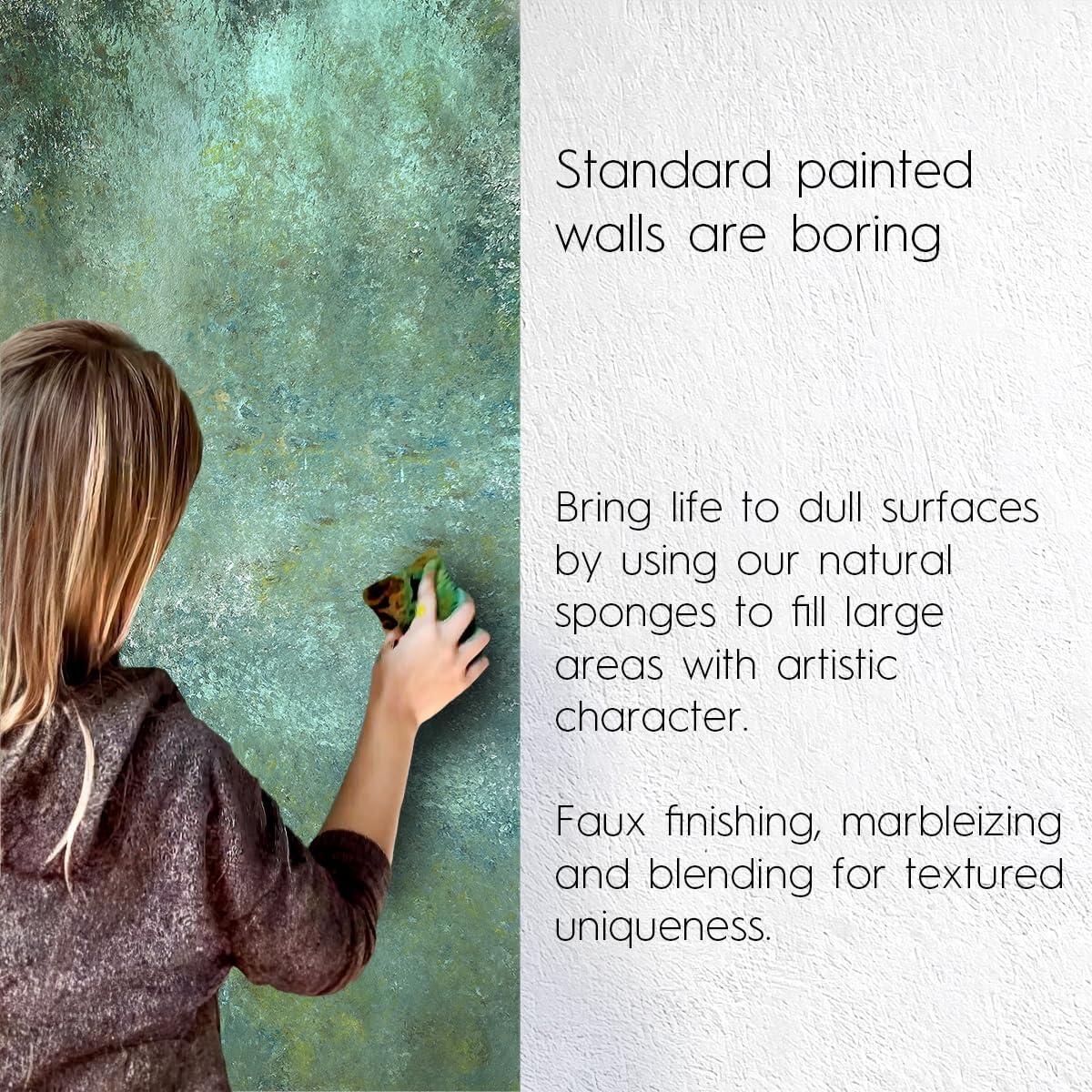 Esponjas Marinas Naturales Naroa 2 Paquete para Pintura