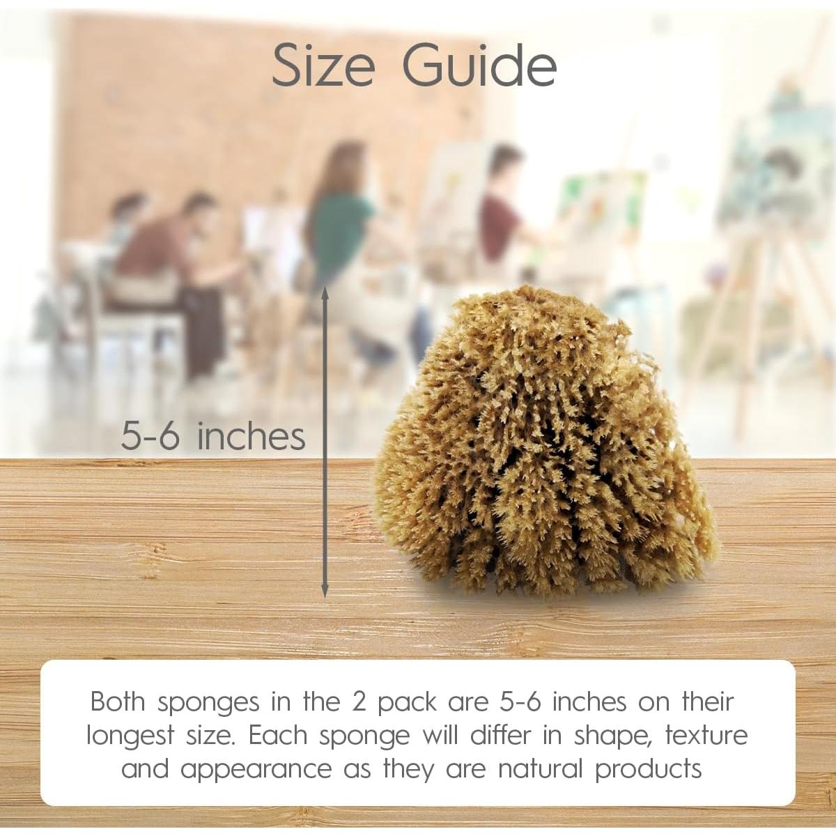 Esponjas Marinas Naturales Naroa 2 Paquete para Pintura