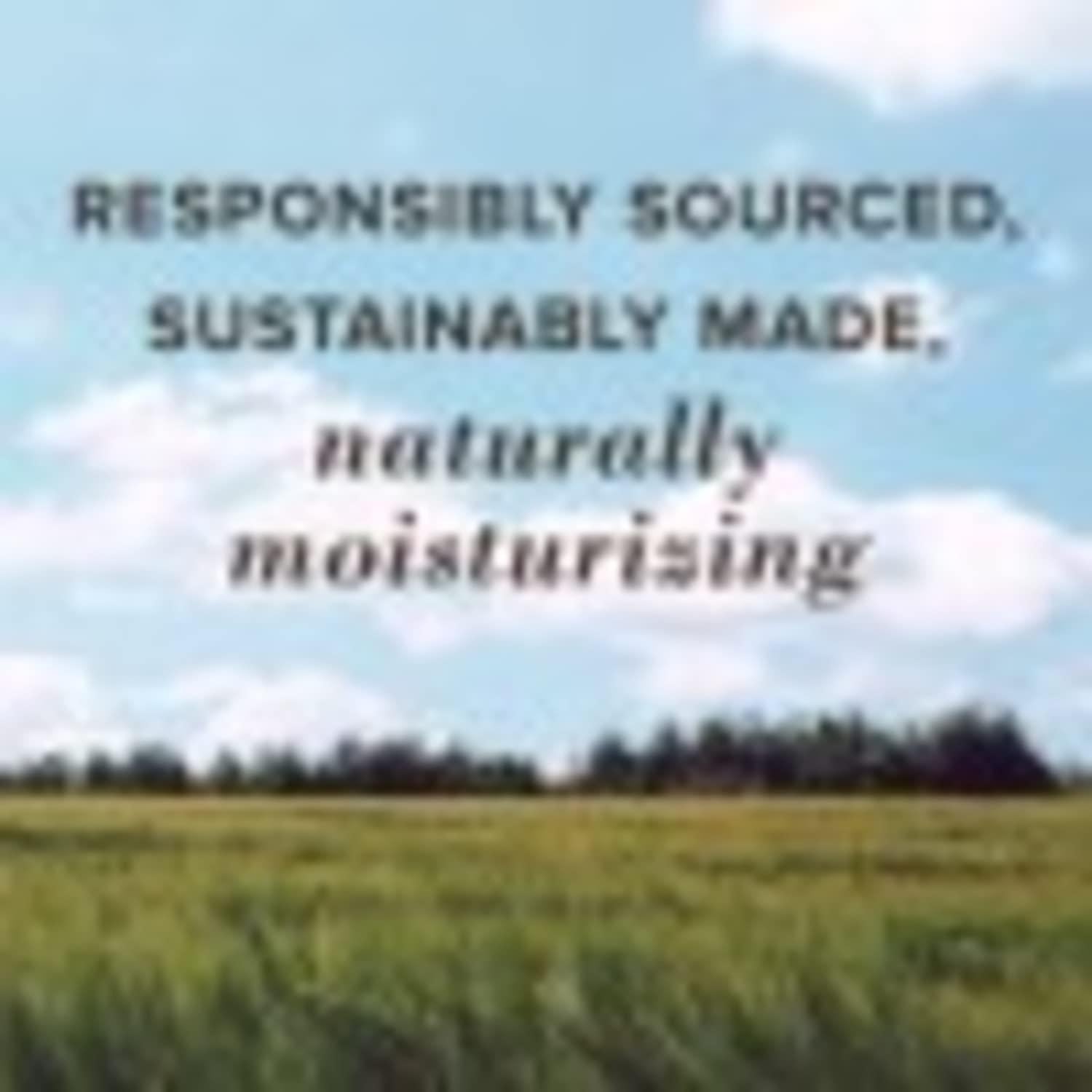 Bálsamo Labial Hidratante Burt's Bees Fresa 4 Tubos 4.25g