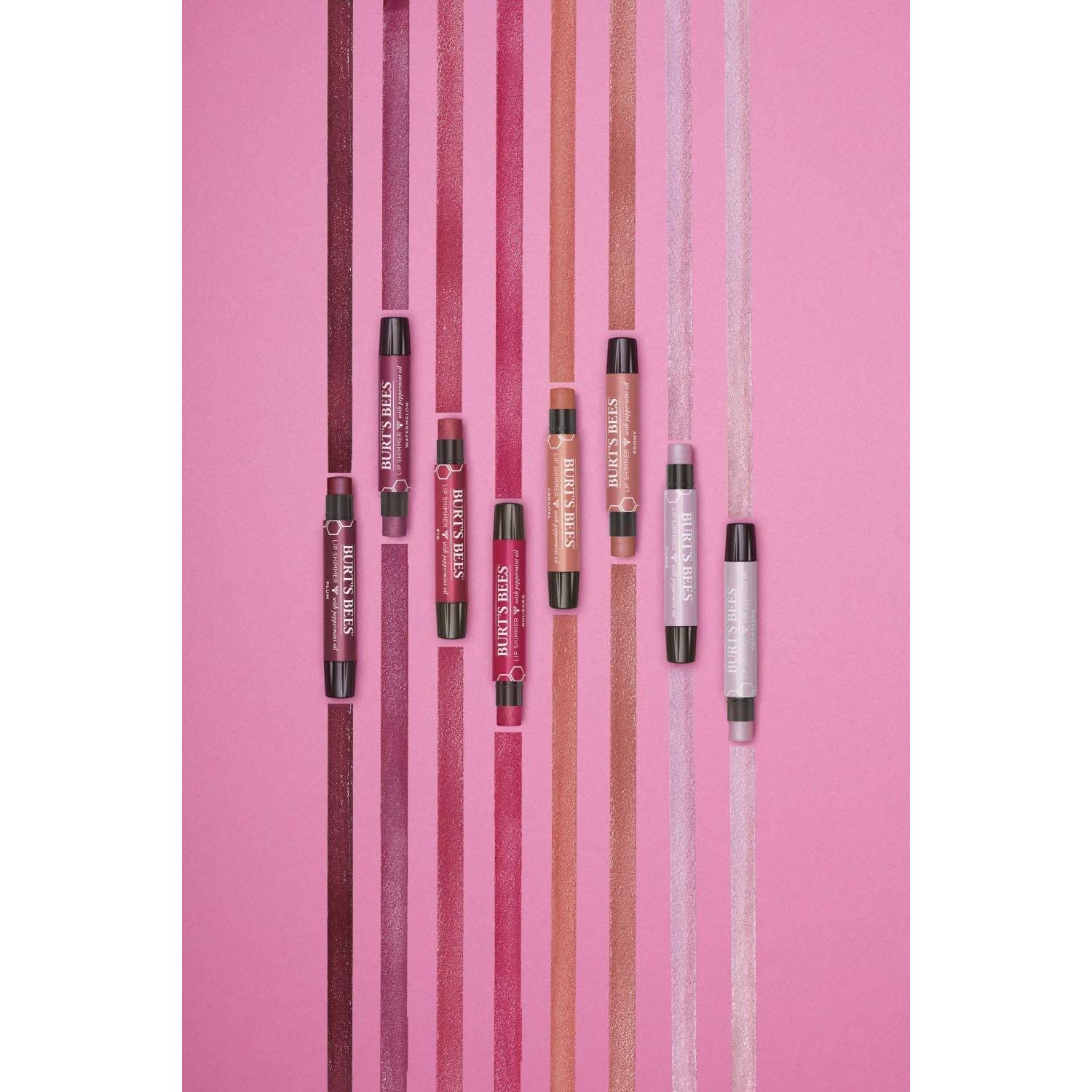 Brillo Labial Burt's Bees Champagne 2.54 g Hidratante Natural